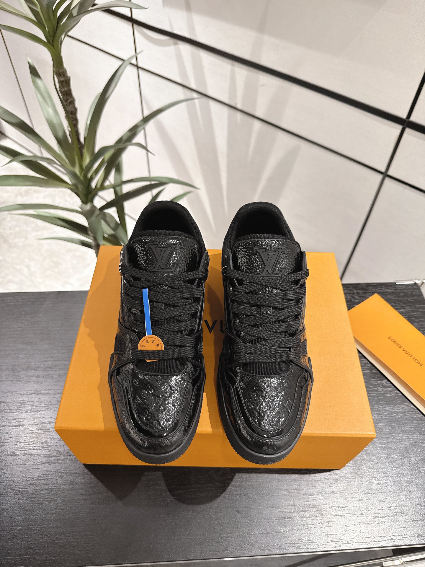 Louis Vuitton Male Sneakers M-l