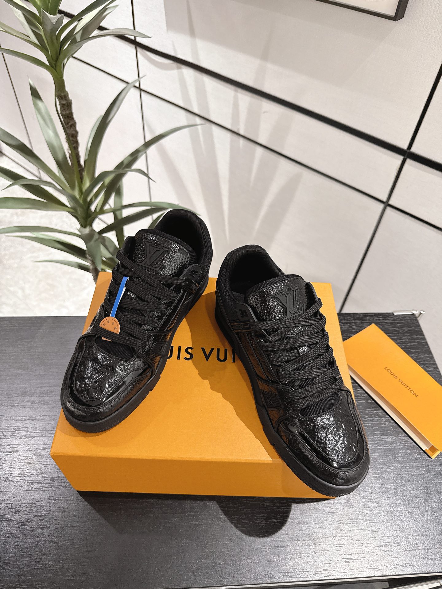 Louis Vuitton Male Sneakers M-l