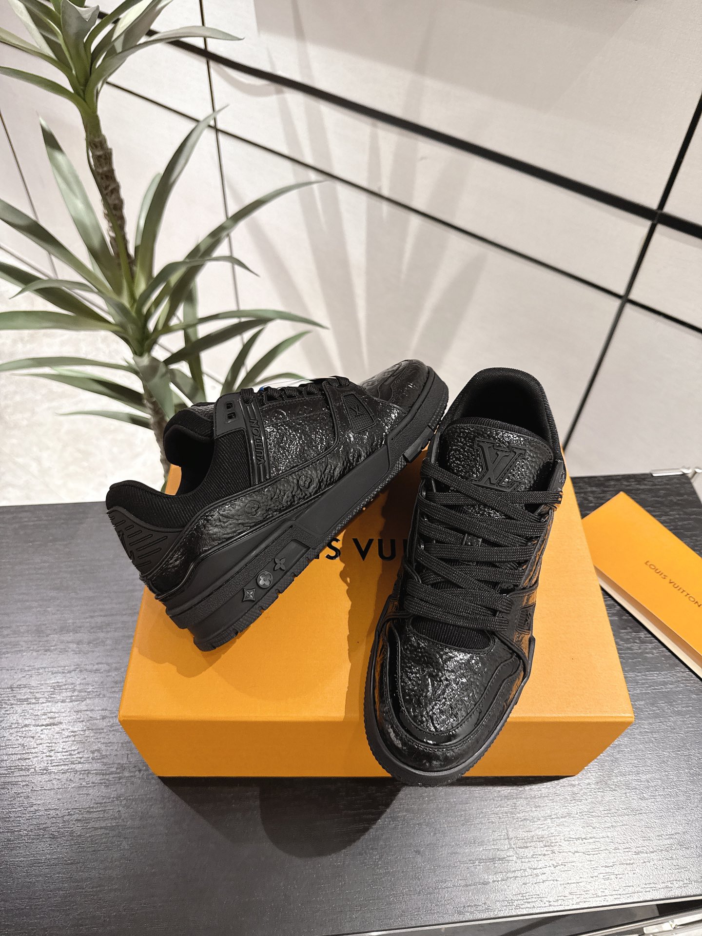 Louis Vuitton Male Sneakers M-l