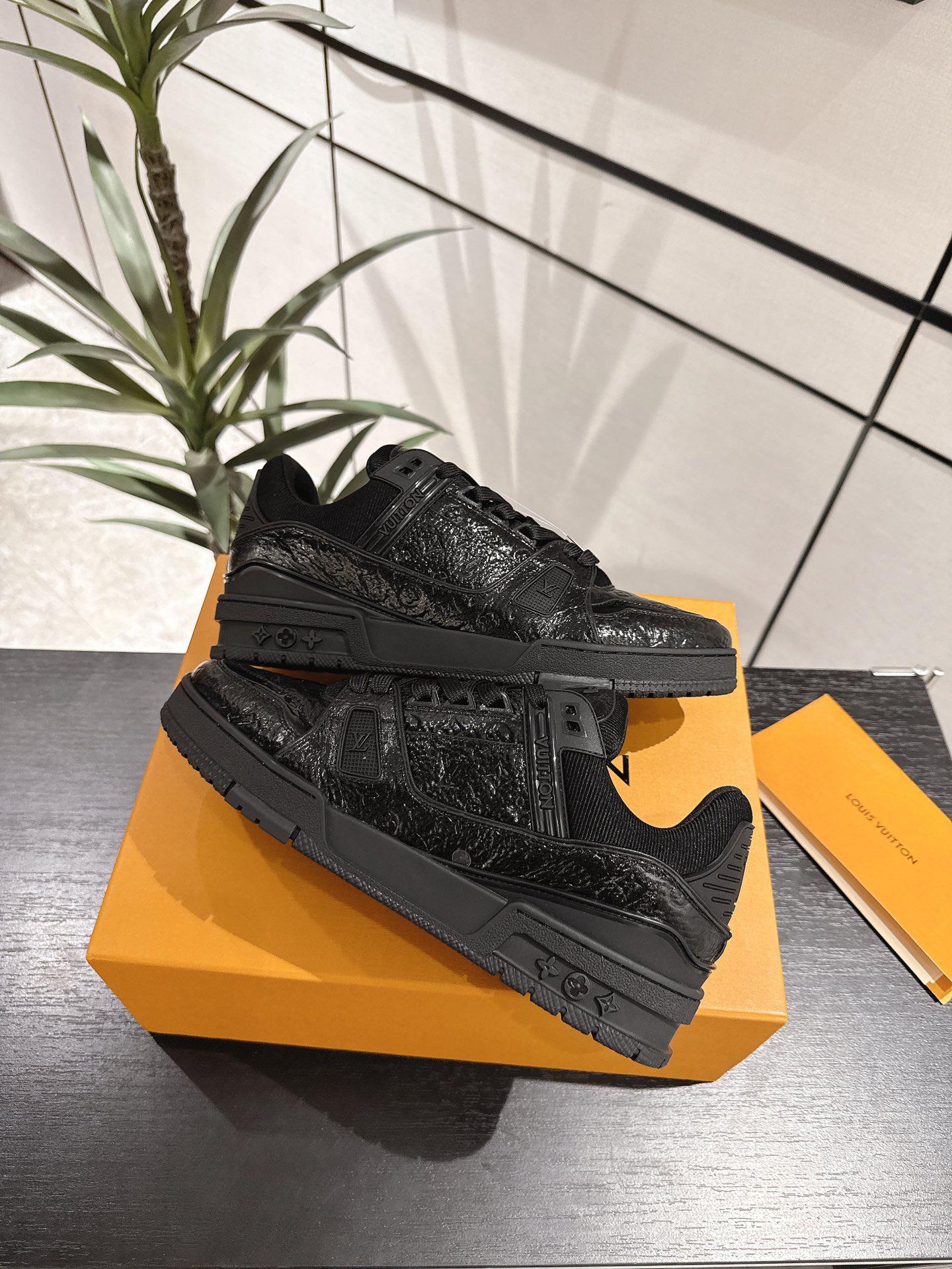 Louis Vuitton Male Sneakers M-l