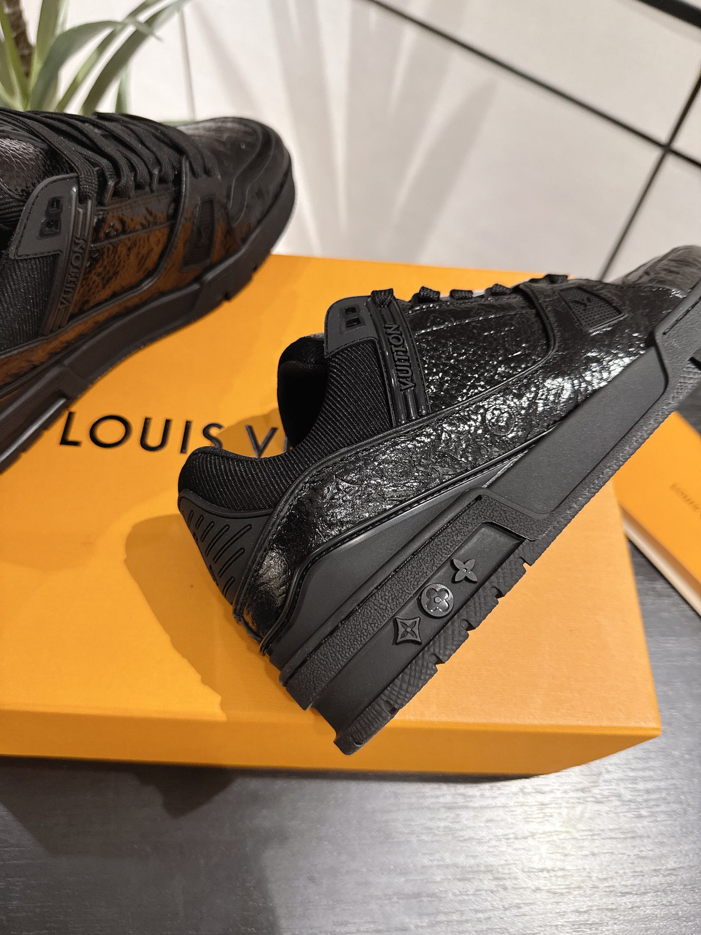 Louis Vuitton Male Sneakers M-l