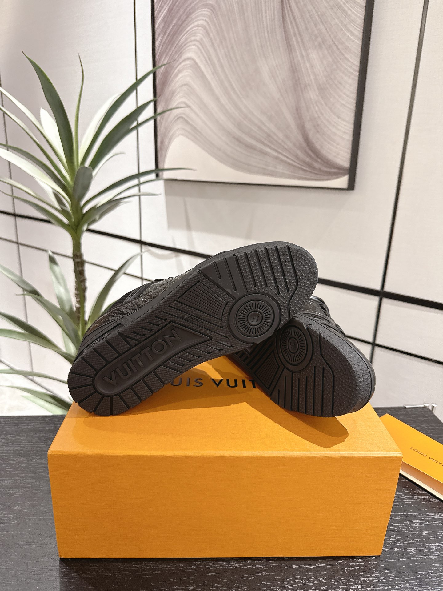 Louis Vuitton Male Sneakers M-l