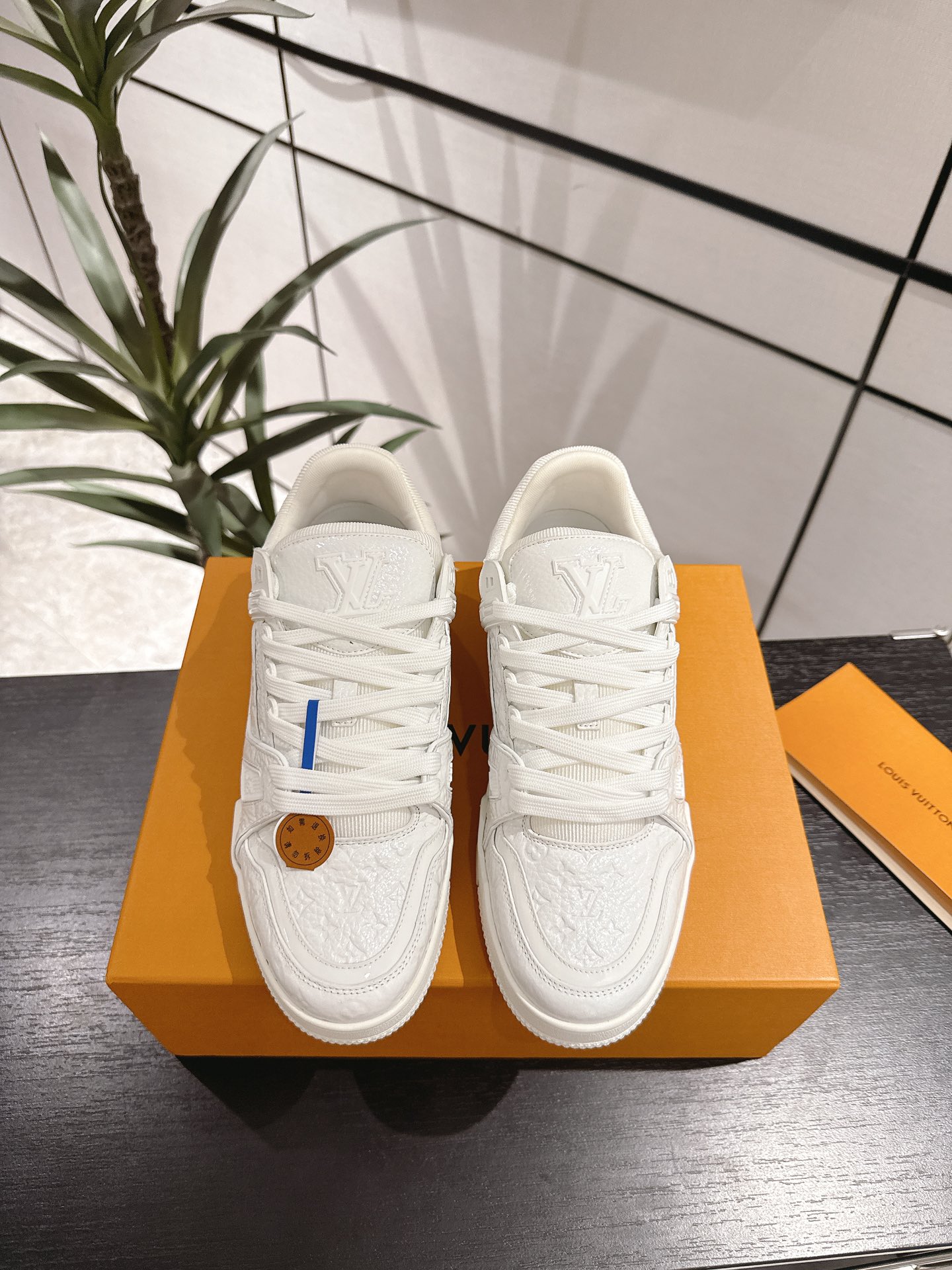 Louis Vuitton Male Sneakers M-l