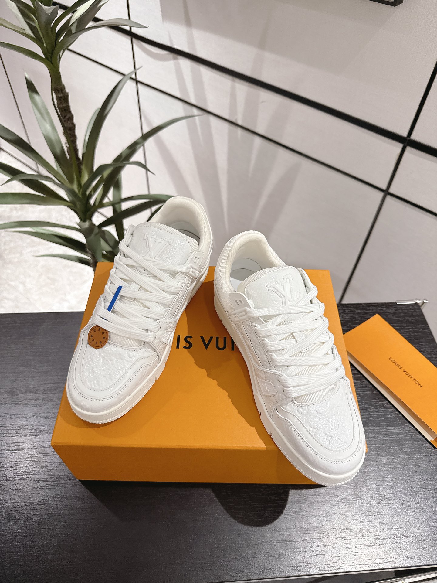 Louis Vuitton Male Sneakers M-l
