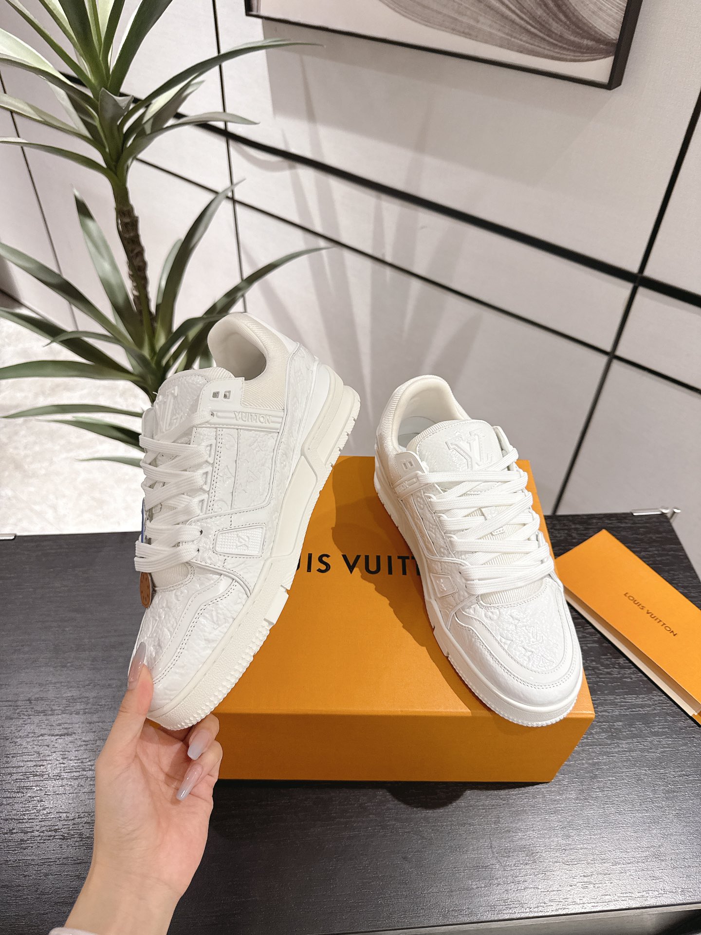 Louis Vuitton Male Sneakers M-l