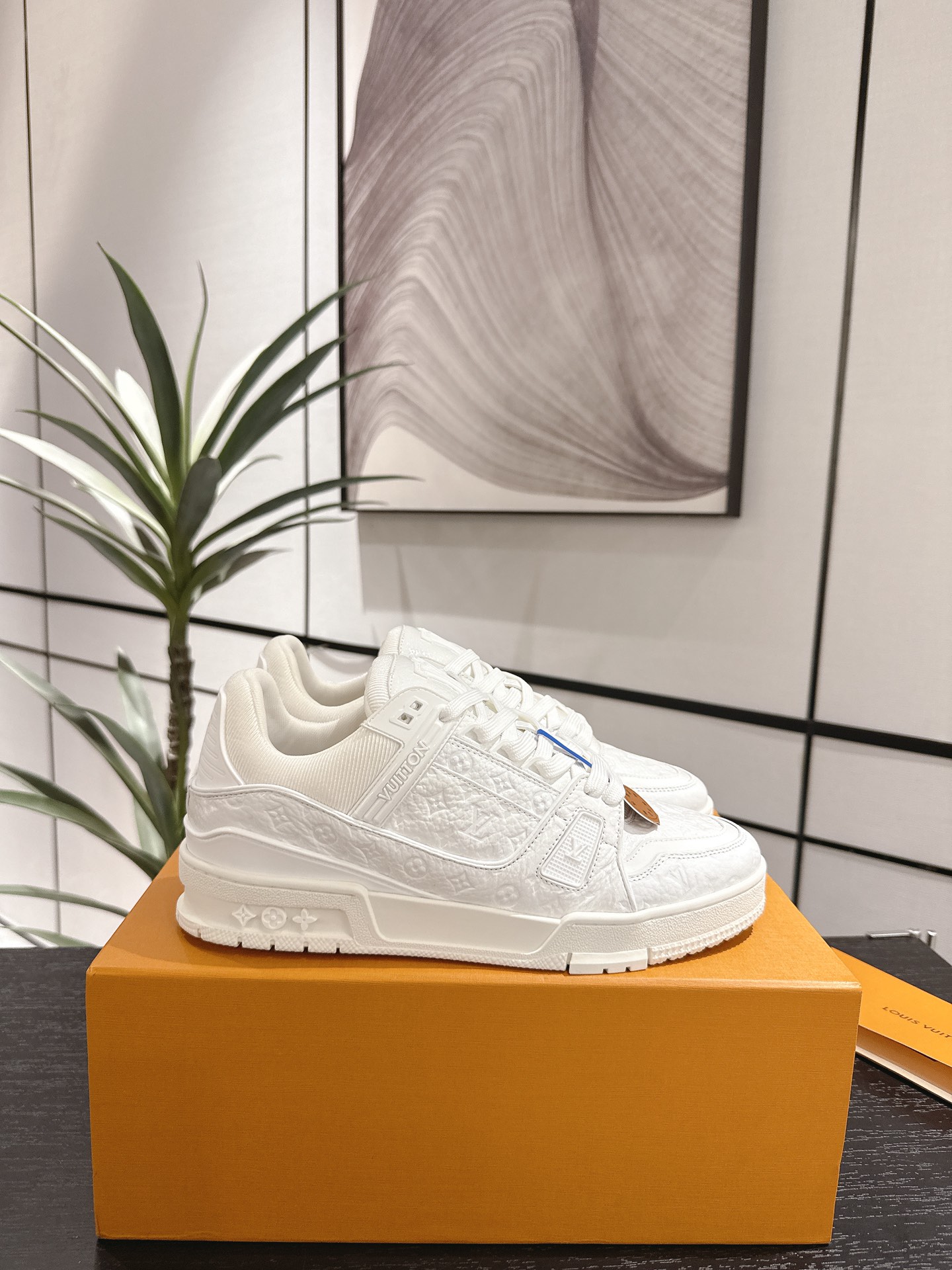 Louis Vuitton Male Sneakers M-l