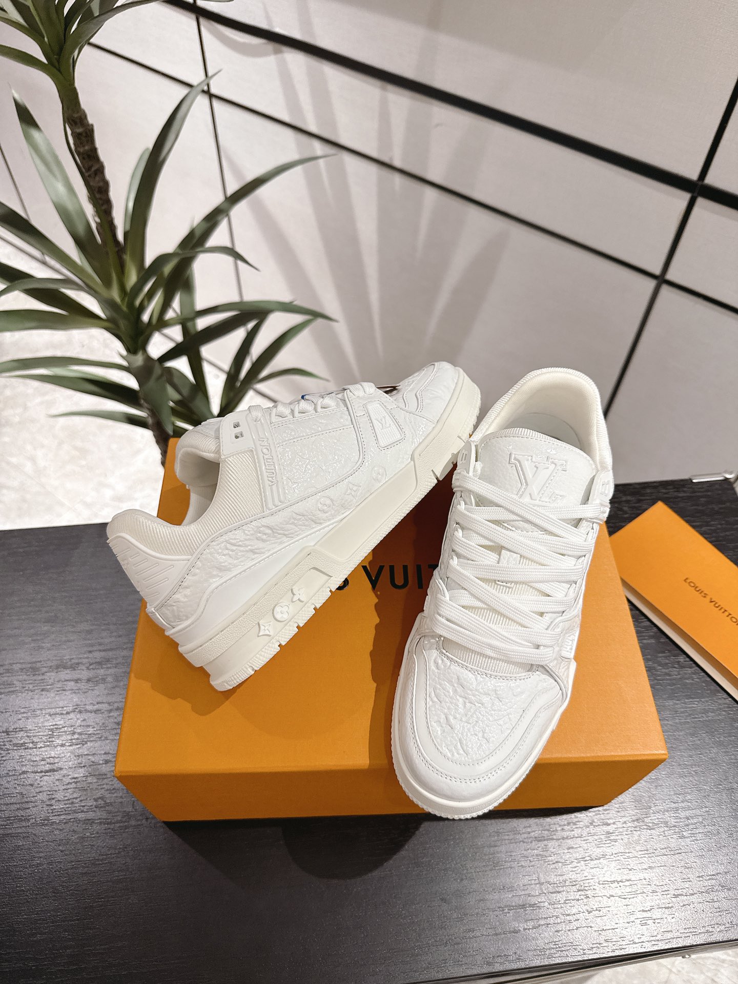 Louis Vuitton Male Sneakers M-l