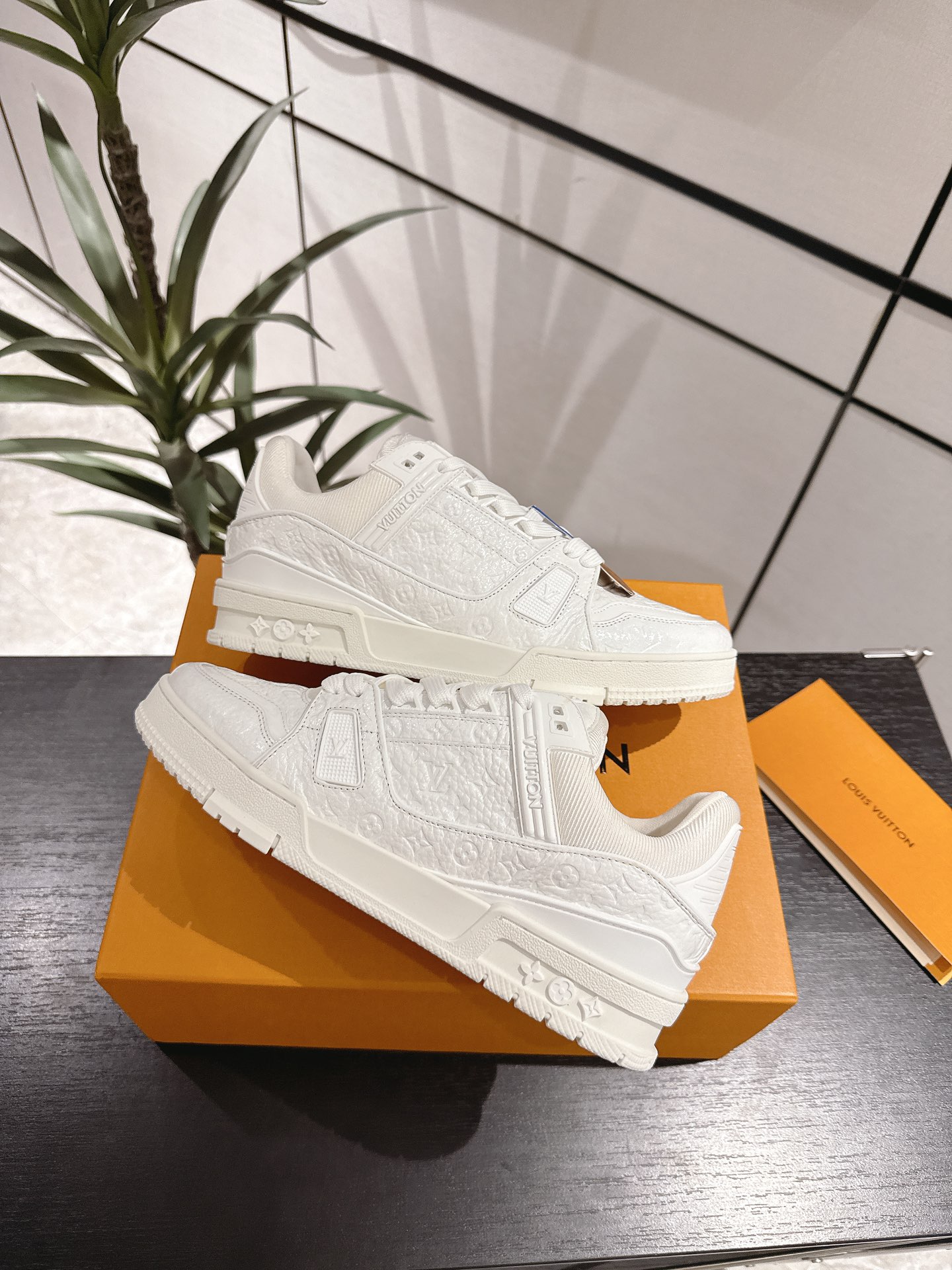 Louis Vuitton Male Sneakers M-l