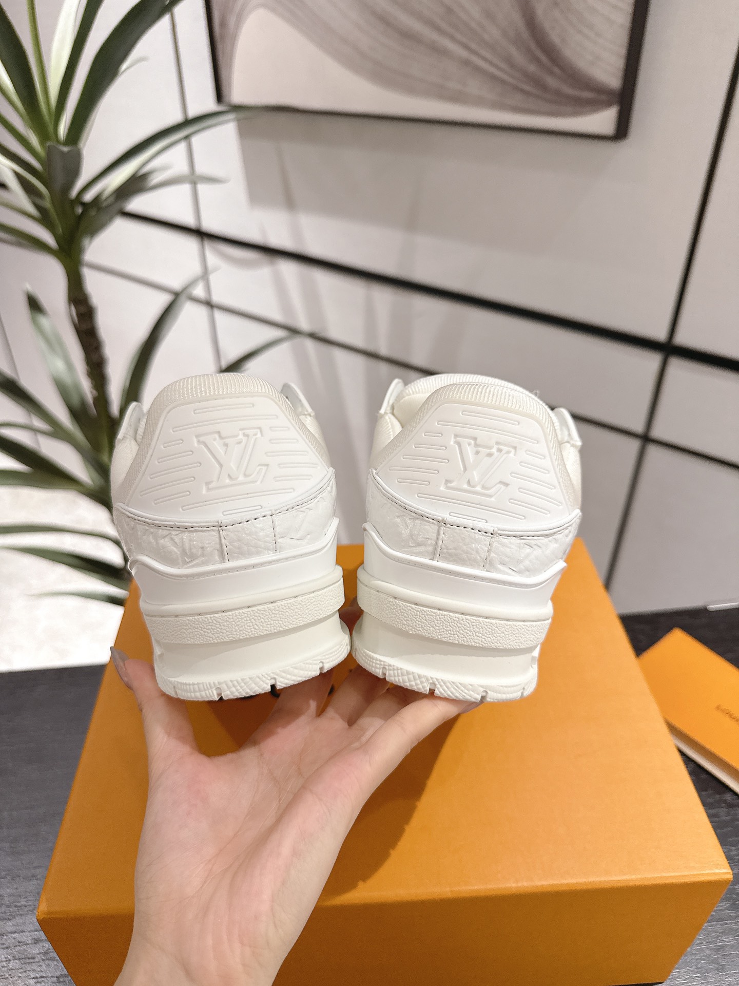 Louis Vuitton Male Sneakers M-l