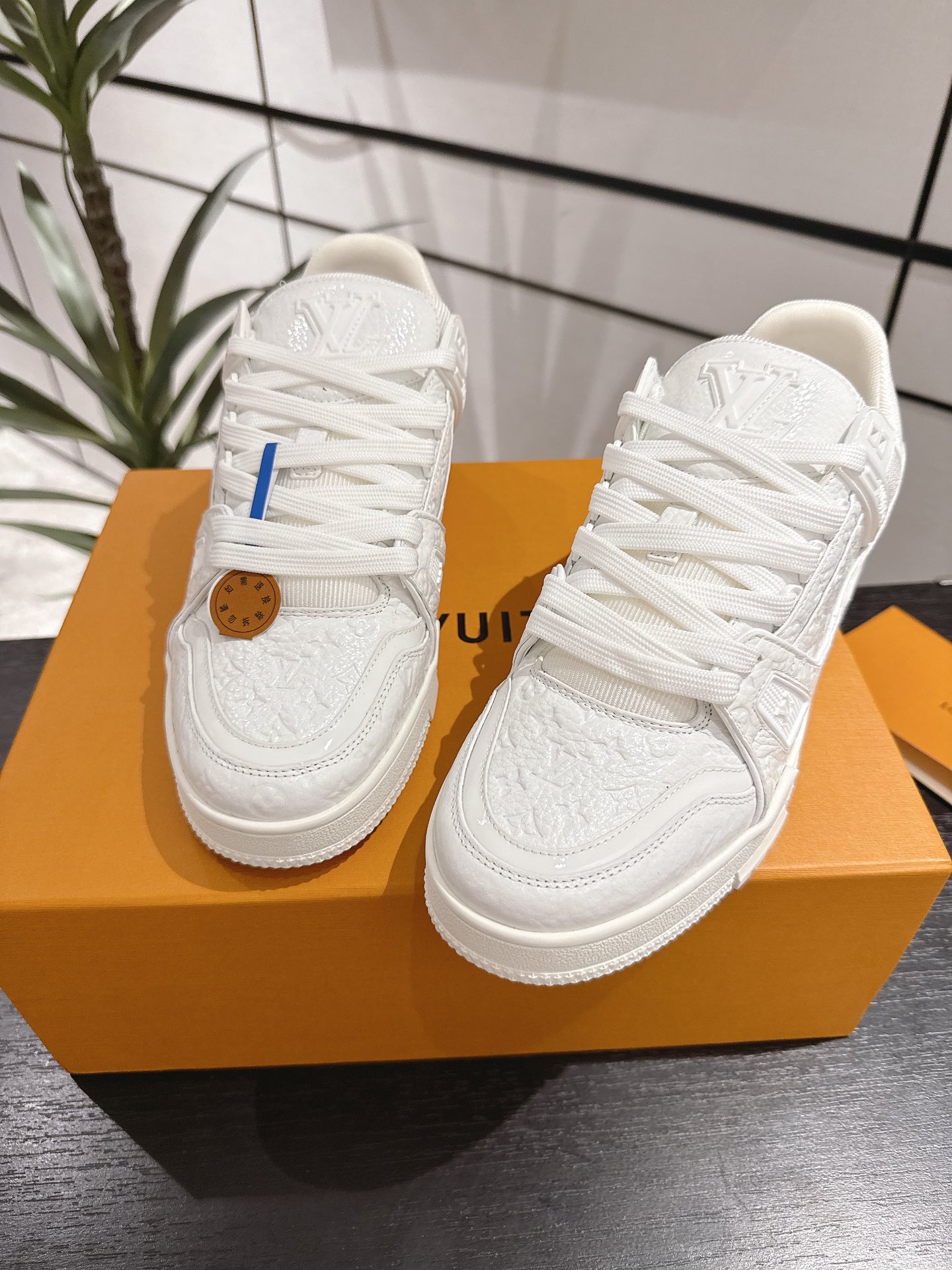 Louis Vuitton Male Sneakers M-l