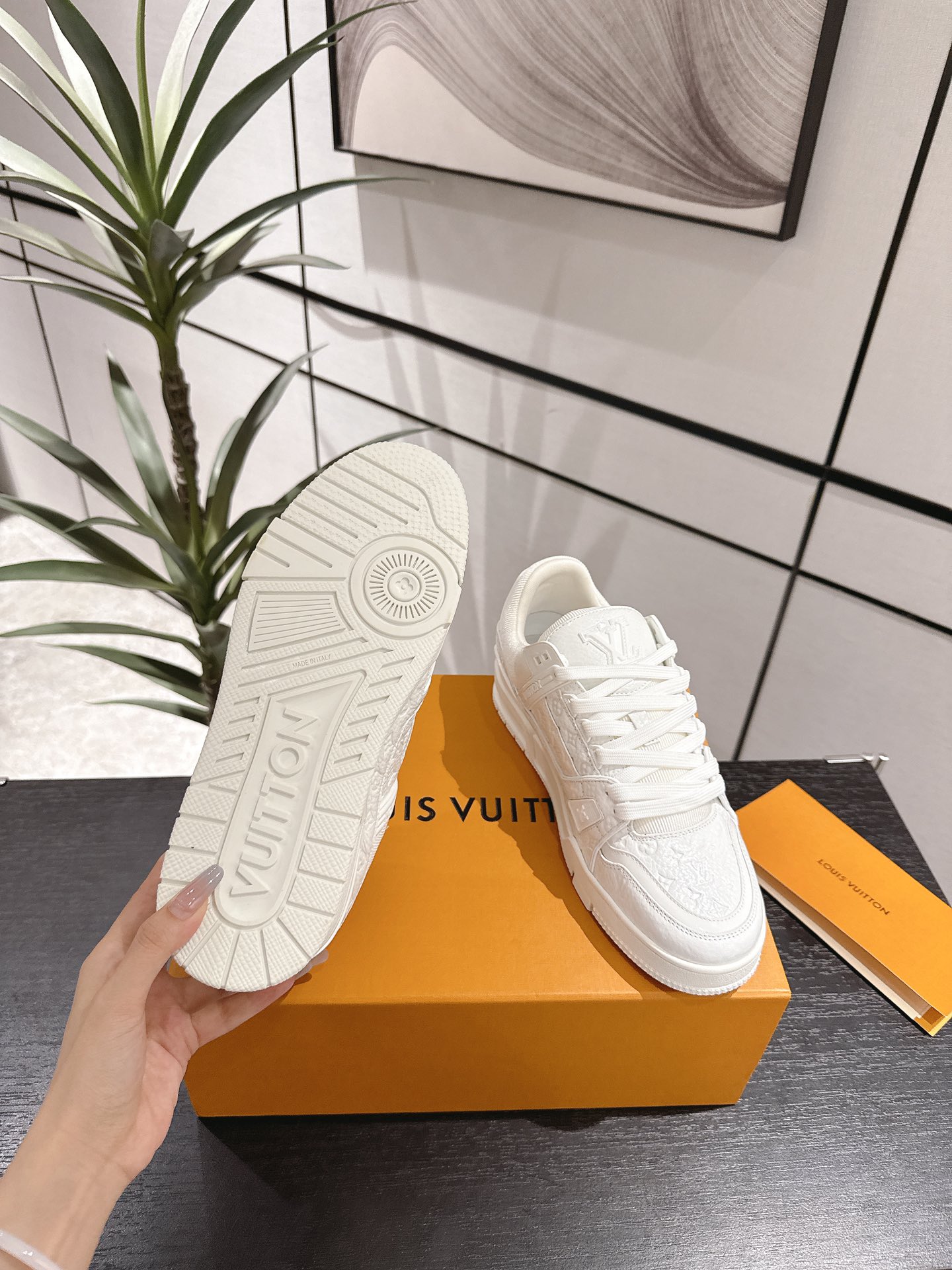 Louis Vuitton Male Sneakers M-l