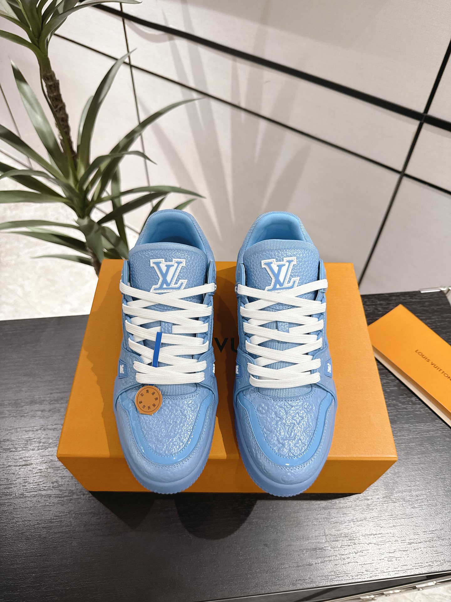 Louis Vuitton Male Sneakers M-l