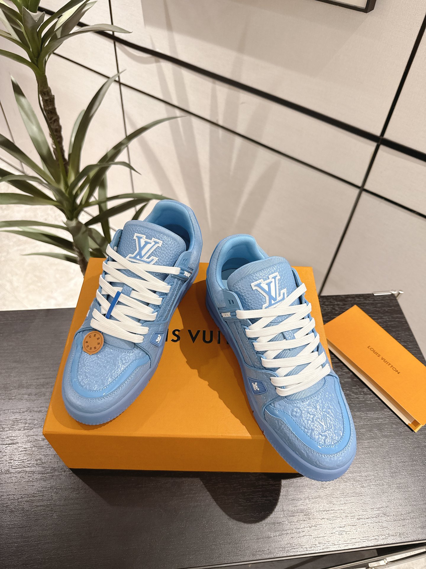 Louis Vuitton Male Sneakers M-l