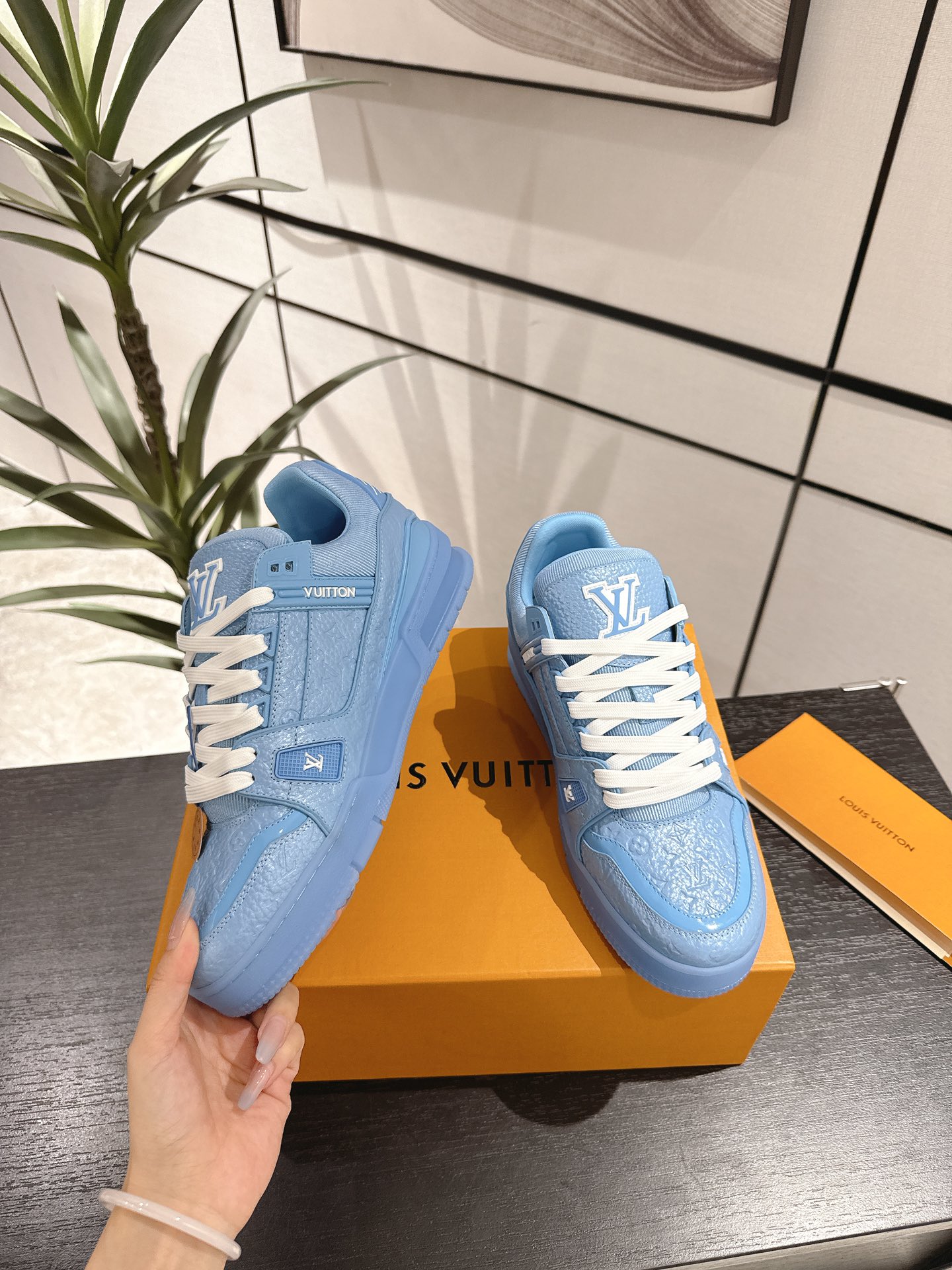 Louis Vuitton Male Sneakers M-l
