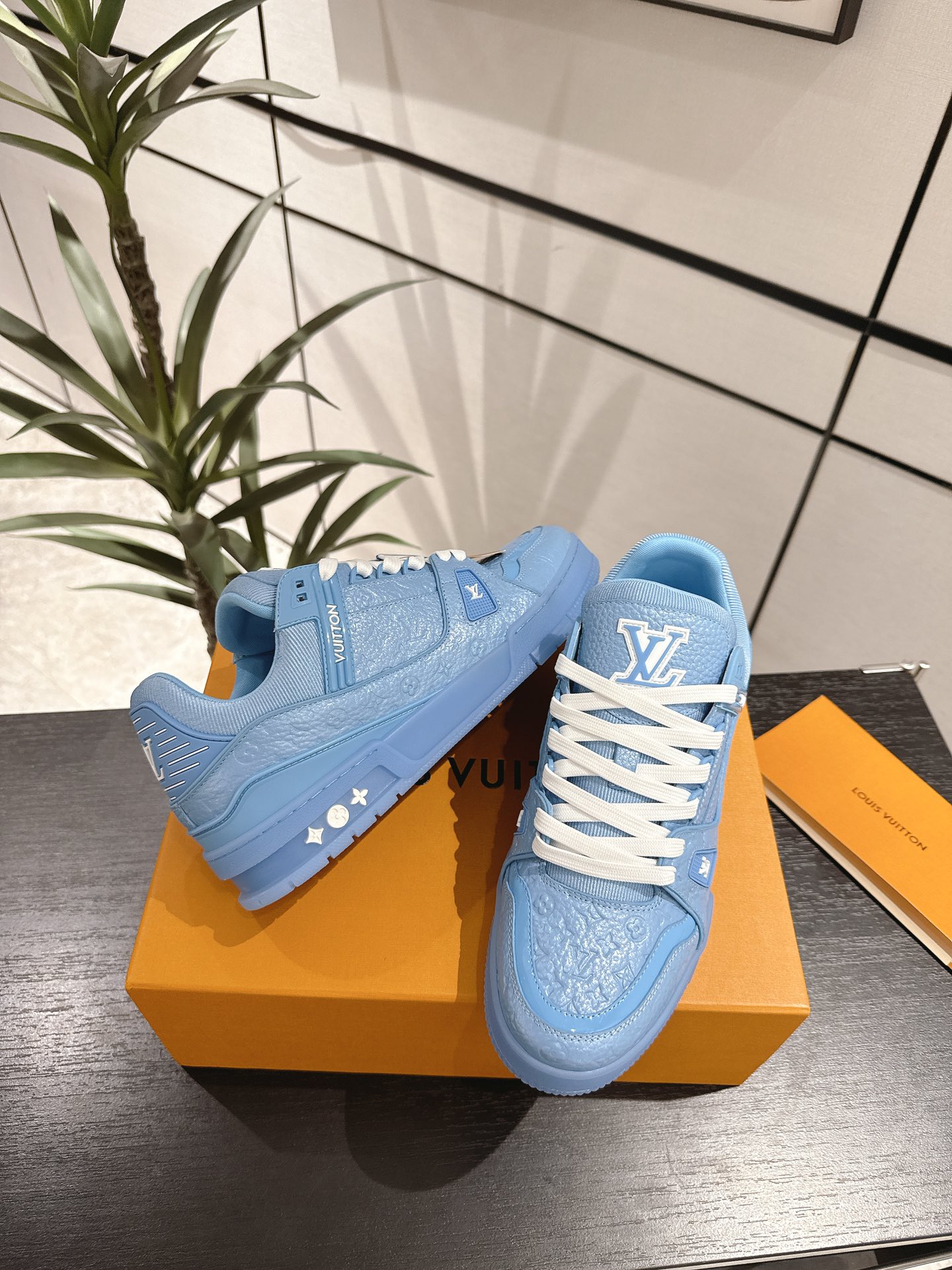 Louis Vuitton Male Sneakers M-l