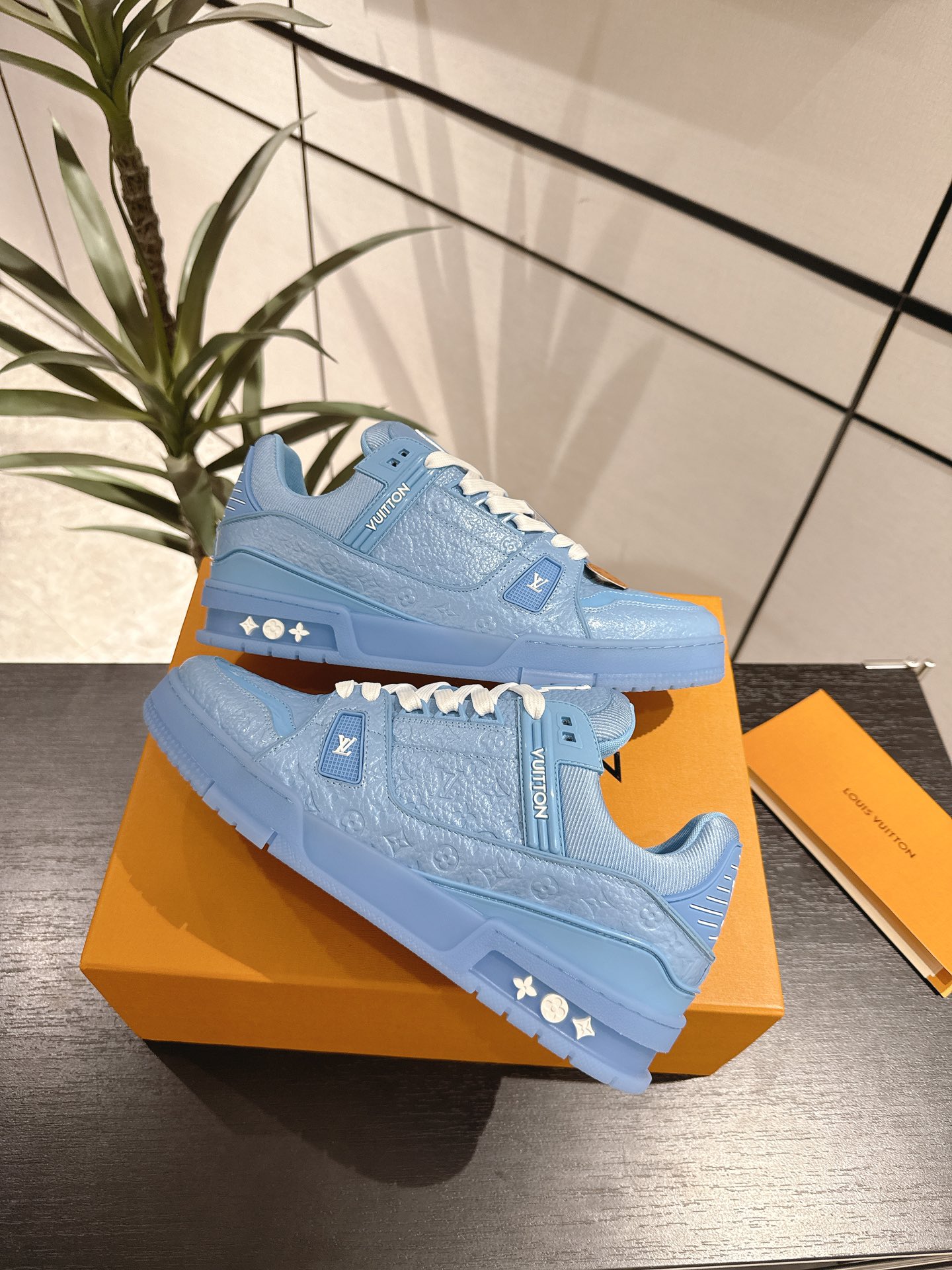 Louis Vuitton Male Sneakers M-l