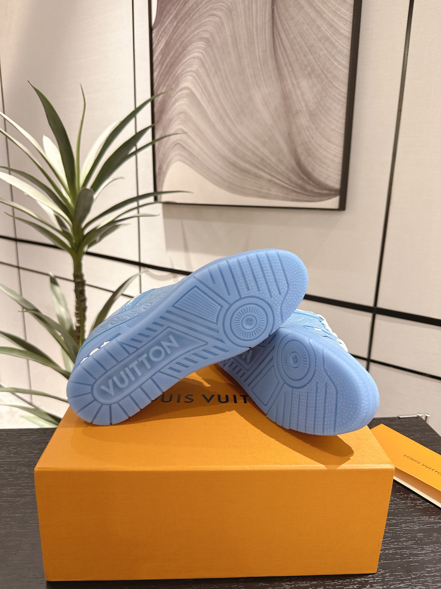 Louis Vuitton Male Sneakers M-l