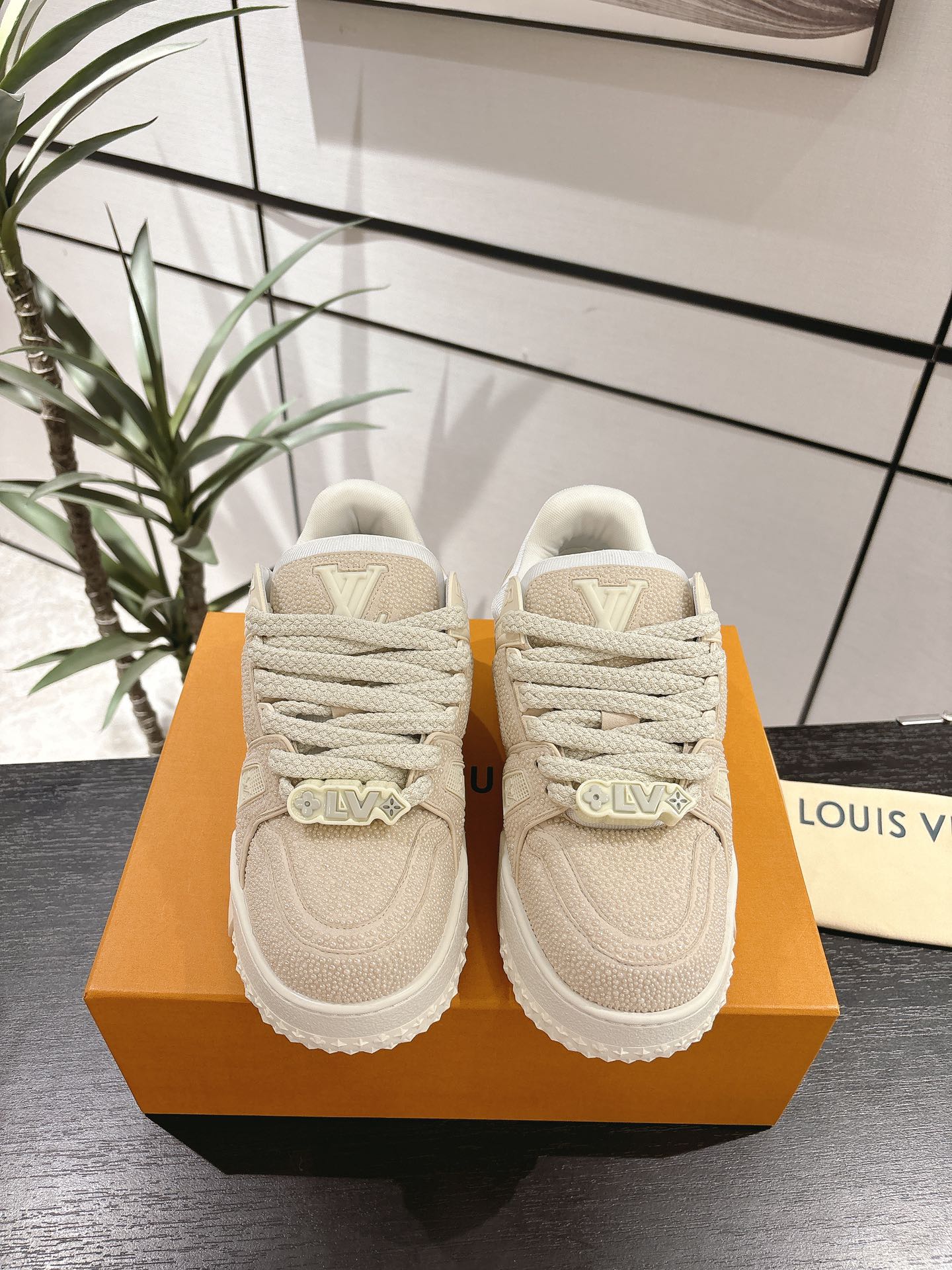 Louis Vuitton Couple Basic Shoes L