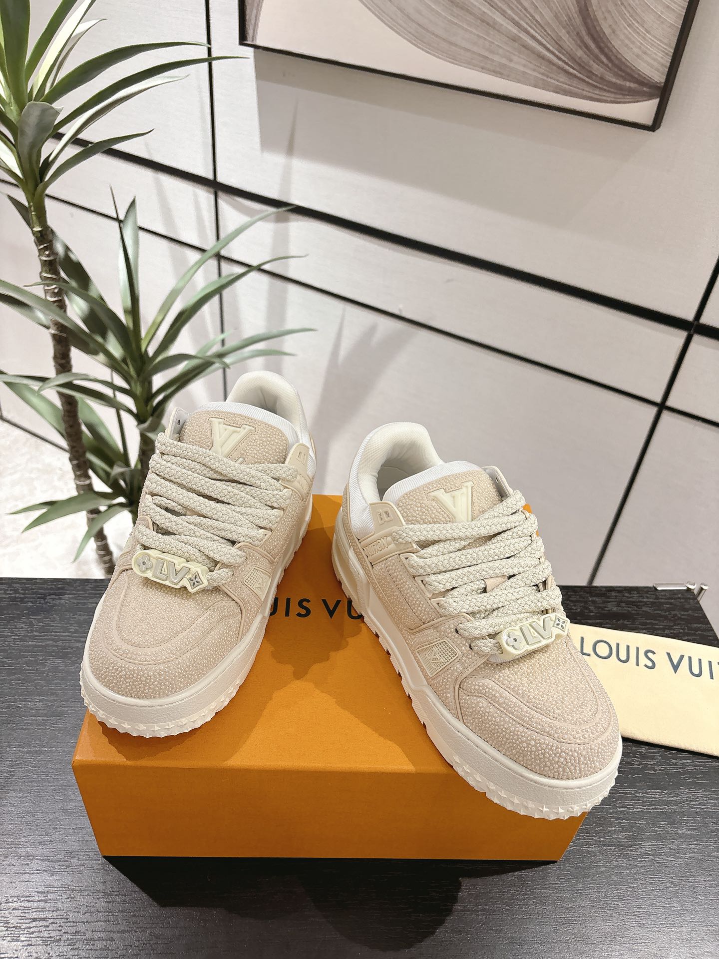 Louis Vuitton Couple Basic Shoes L