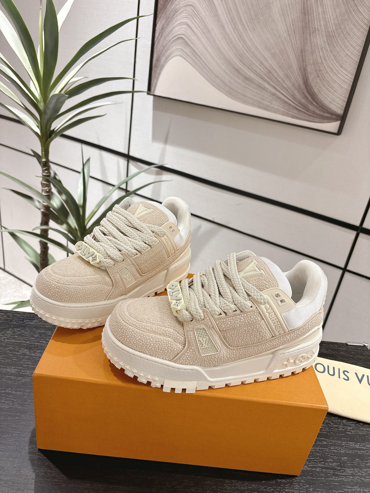 Louis Vuitton Couple Basic Shoes L