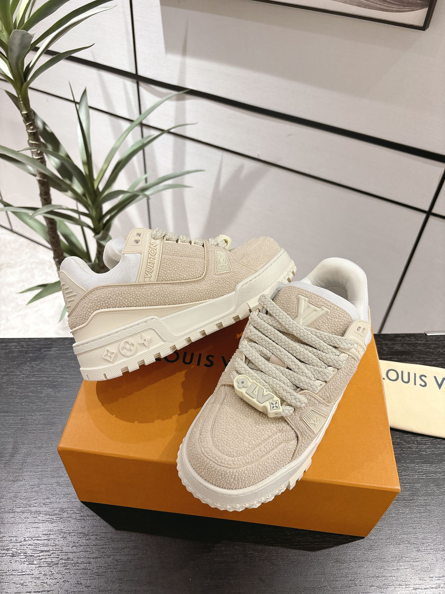 Louis Vuitton Couple Basic Shoes L