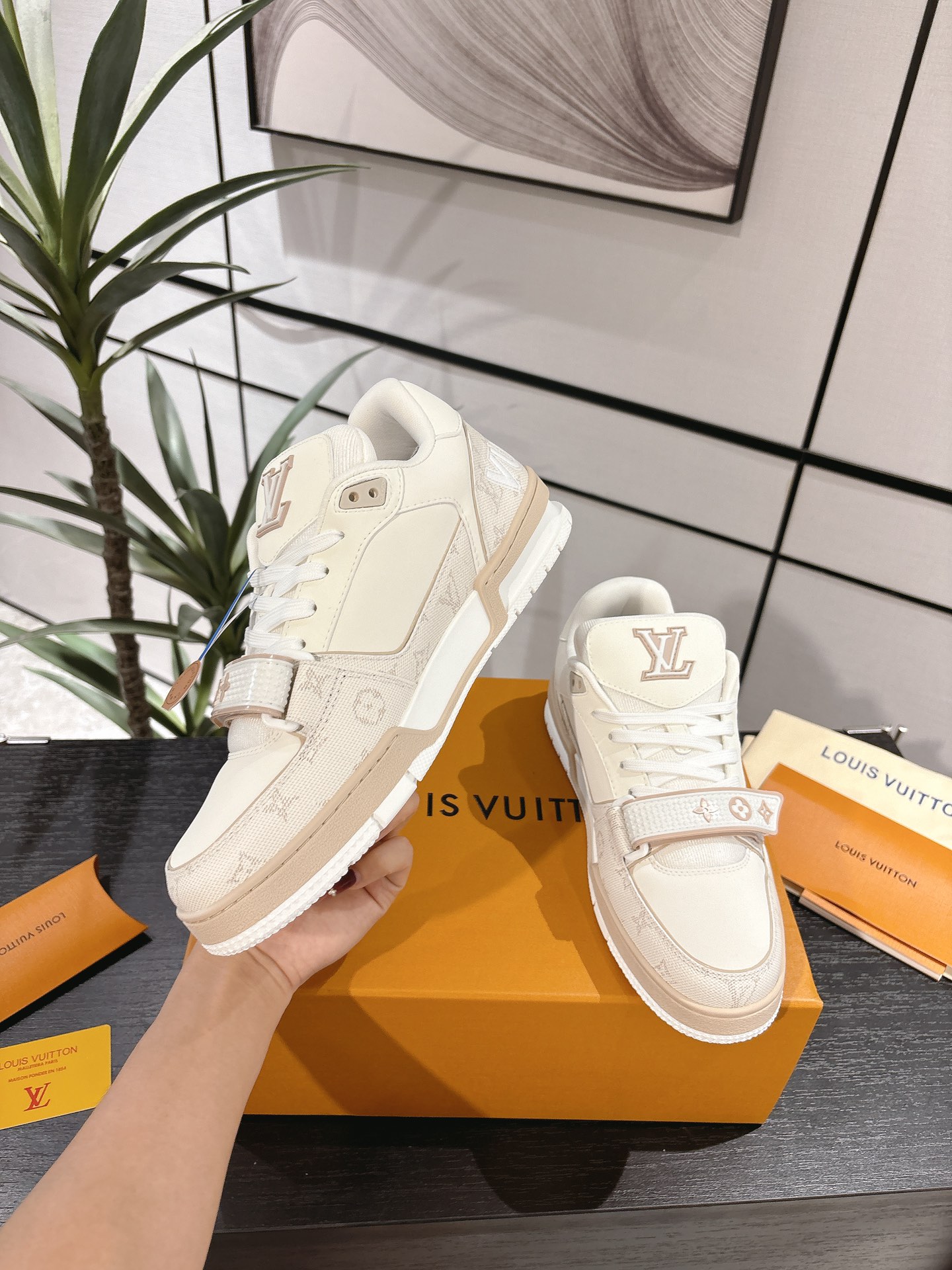 Louis Vuitton Male Board Shoes Breathable M-l-s