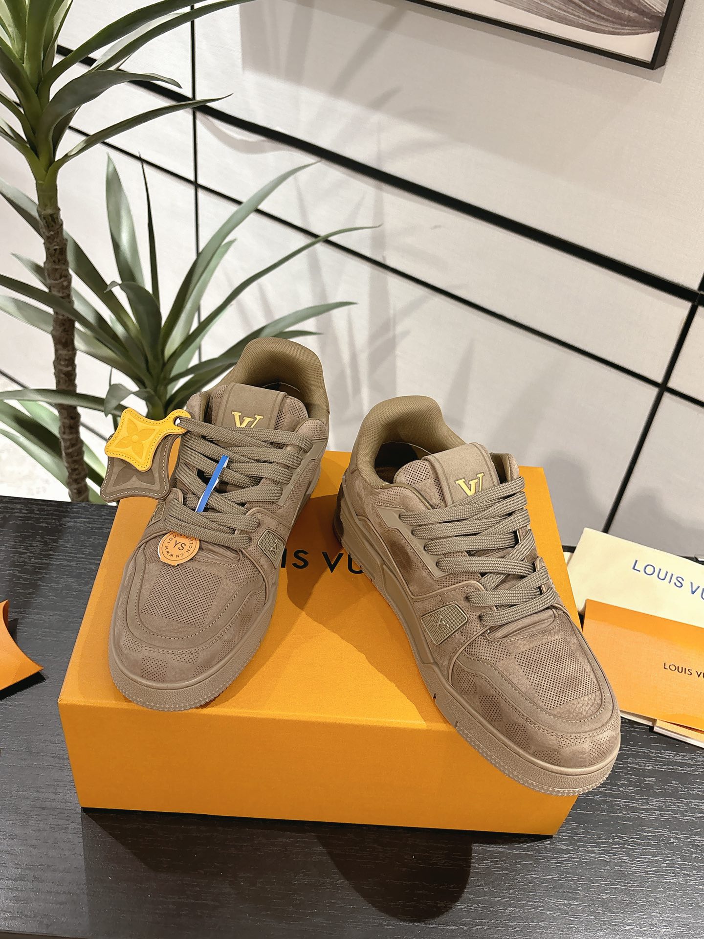 Louis Vuitton Male Board Shoes Breathable M-l-s