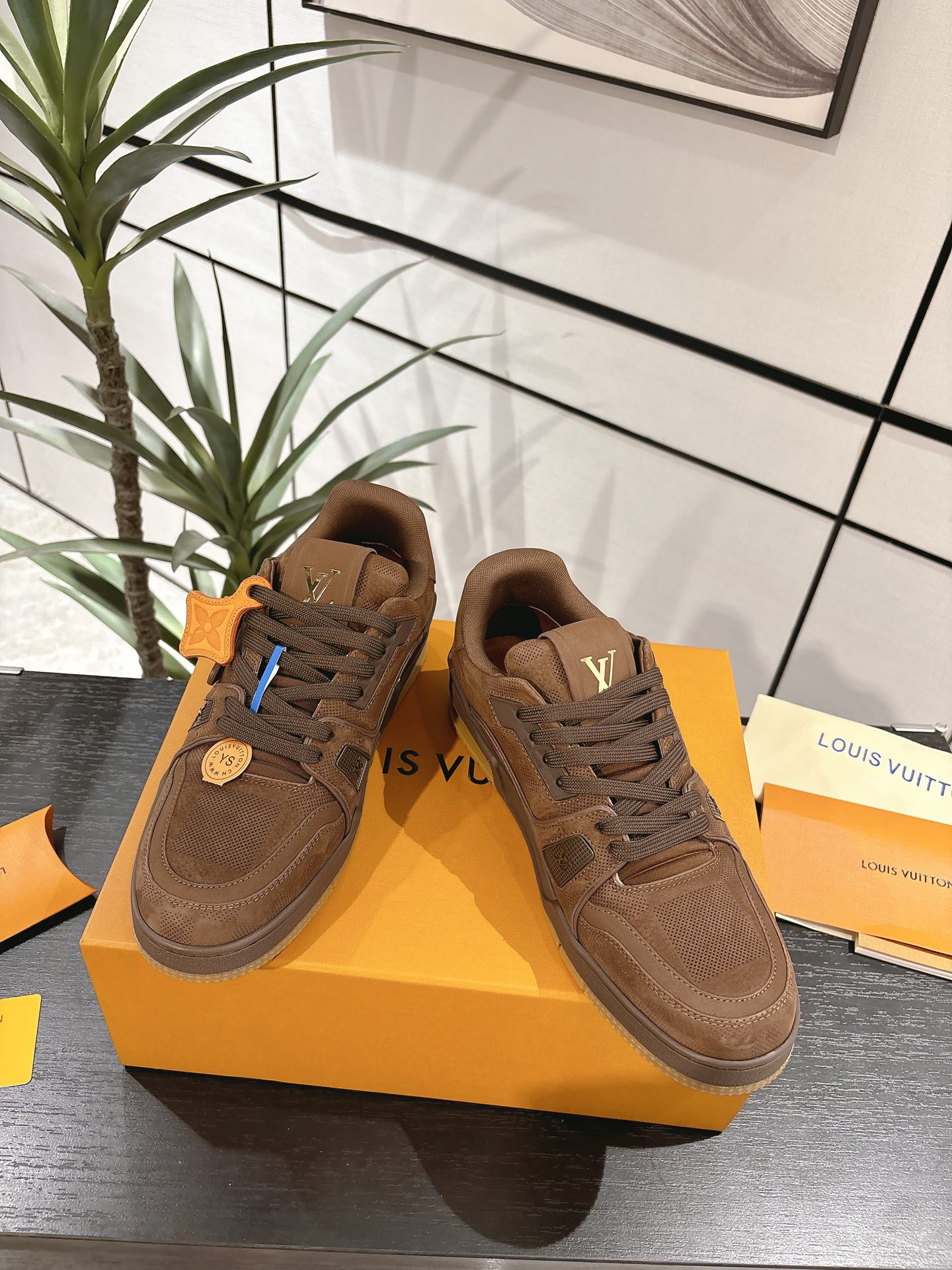 Louis Vuitton Male Board Shoes Breathable M-l-s