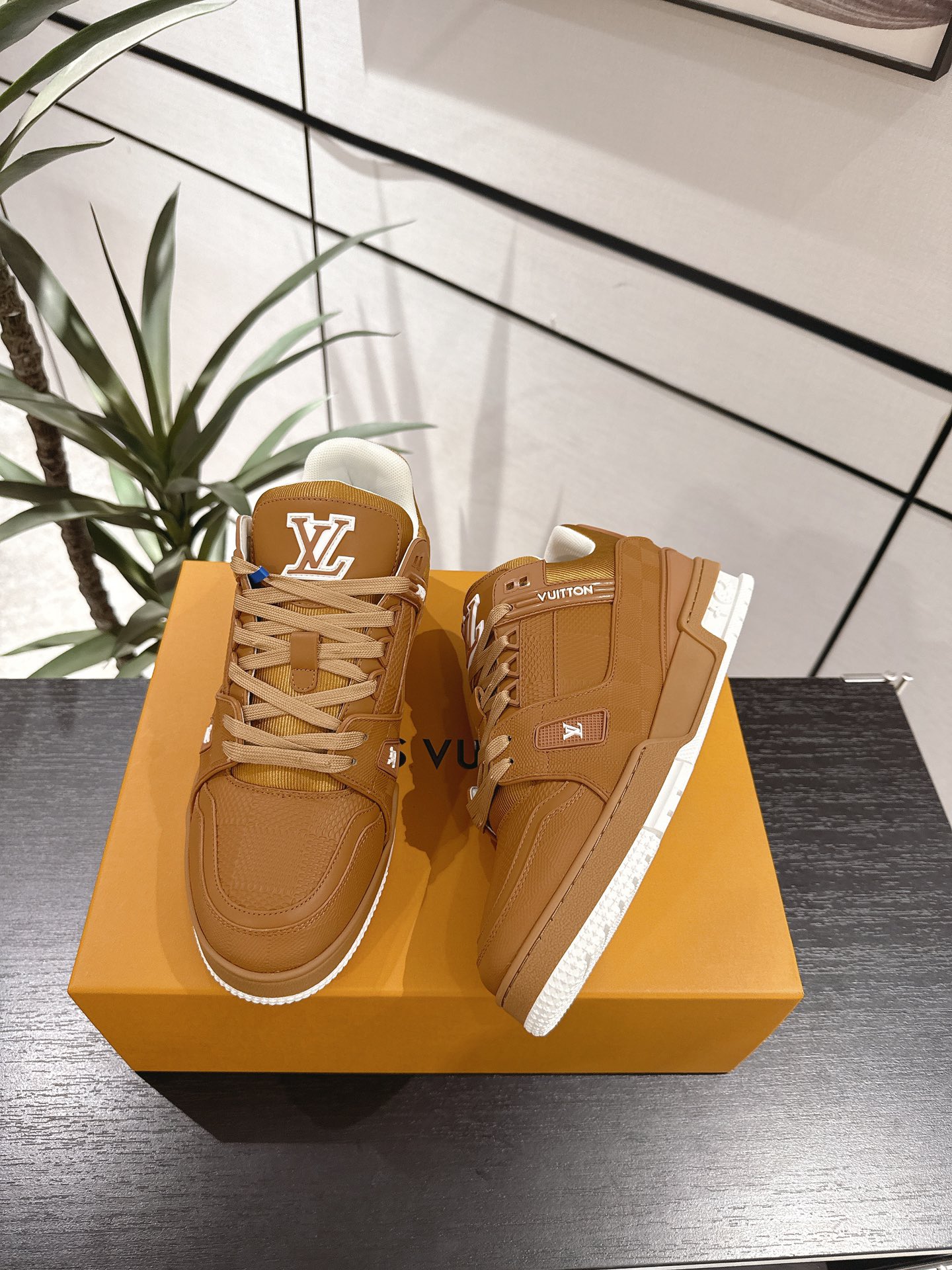 Louis Vuitton Male Board Shoes Breathable M-l-s