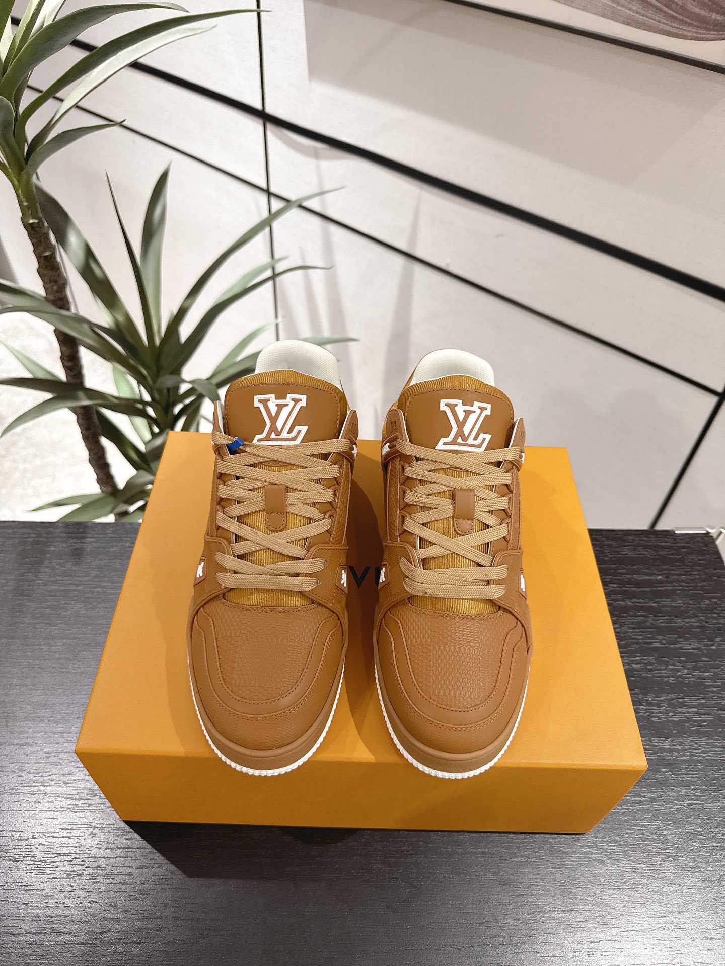 Louis Vuitton Male Board Shoes Breathable M-l-s