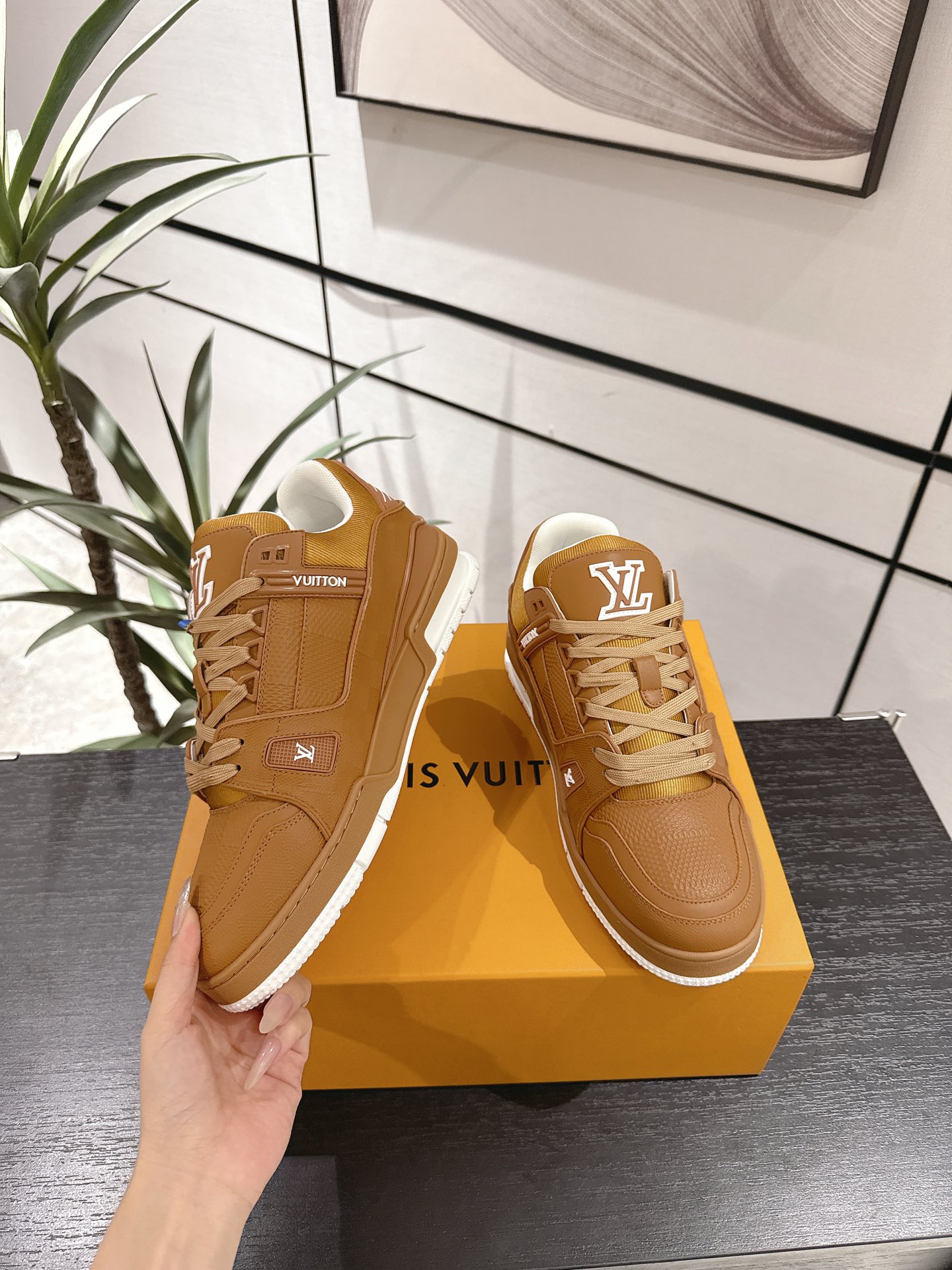Louis Vuitton Male Board Shoes Breathable M-l-s