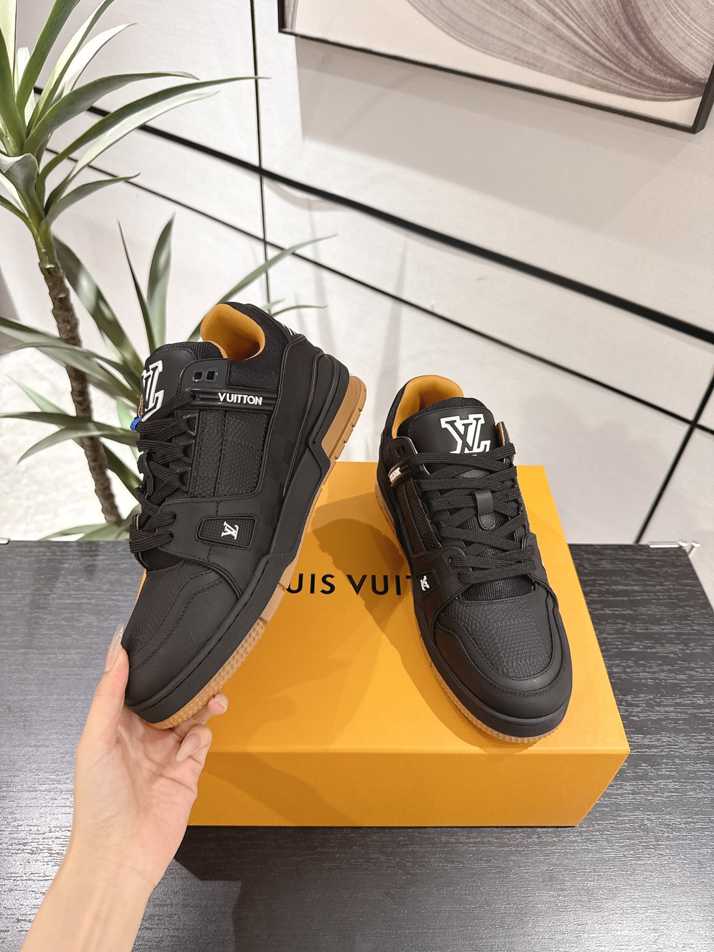 Louis Vuitton Male Board Shoes Breathable M-l-s