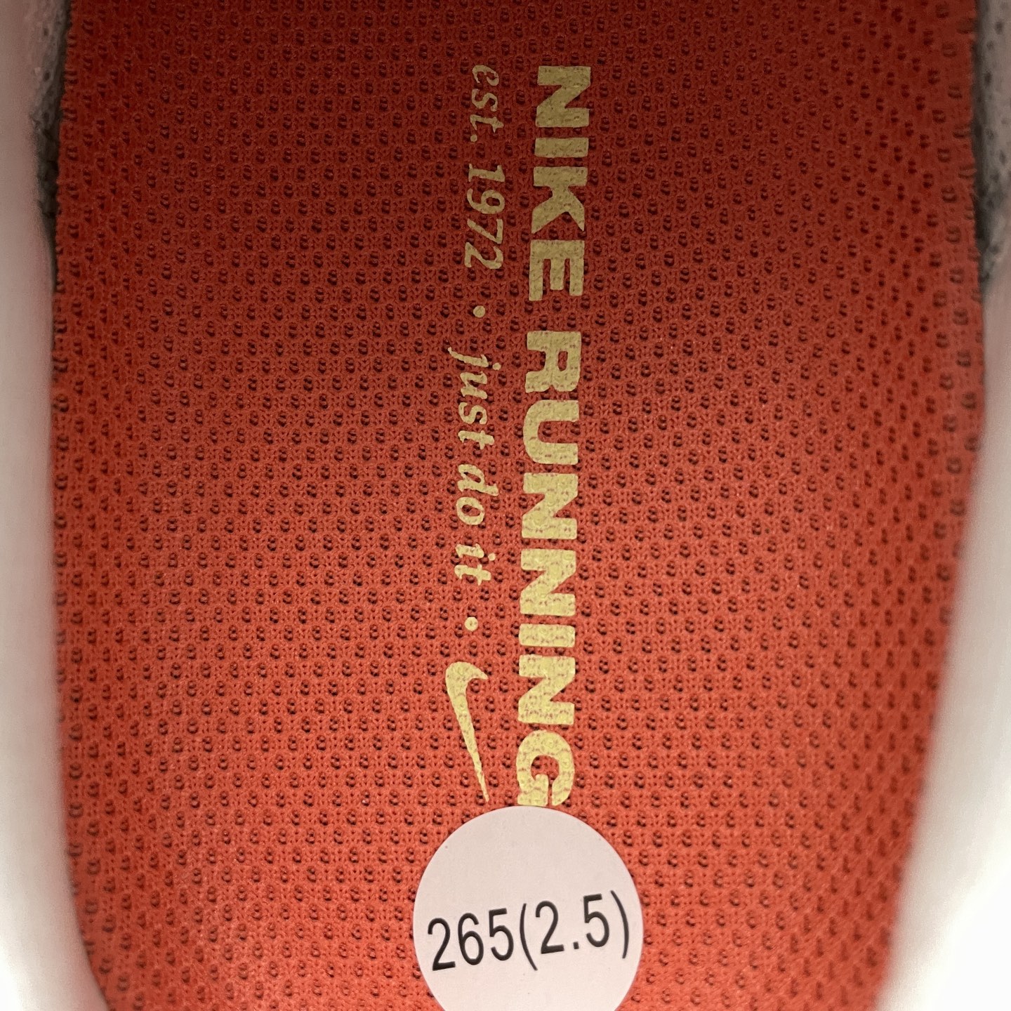 Running Shoes Mesh M-s