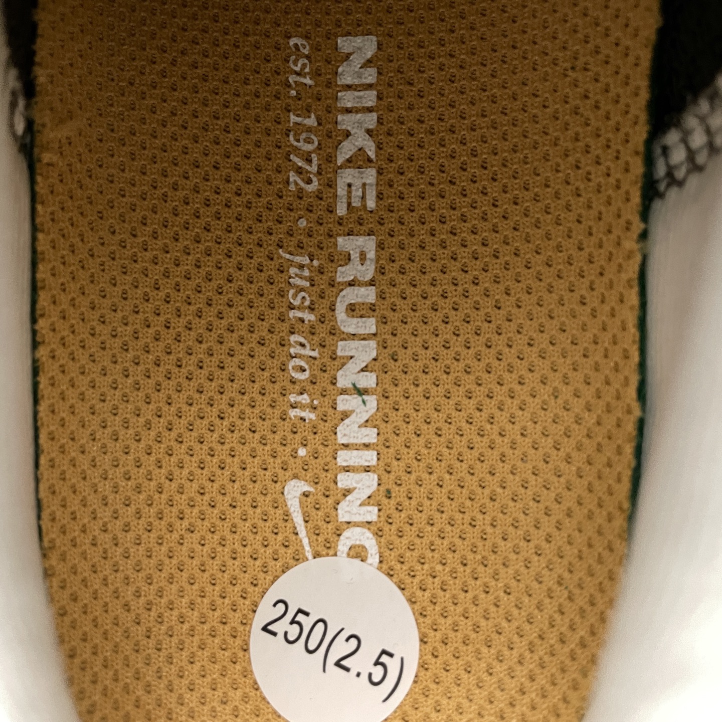 Running Shoes Mesh M-s