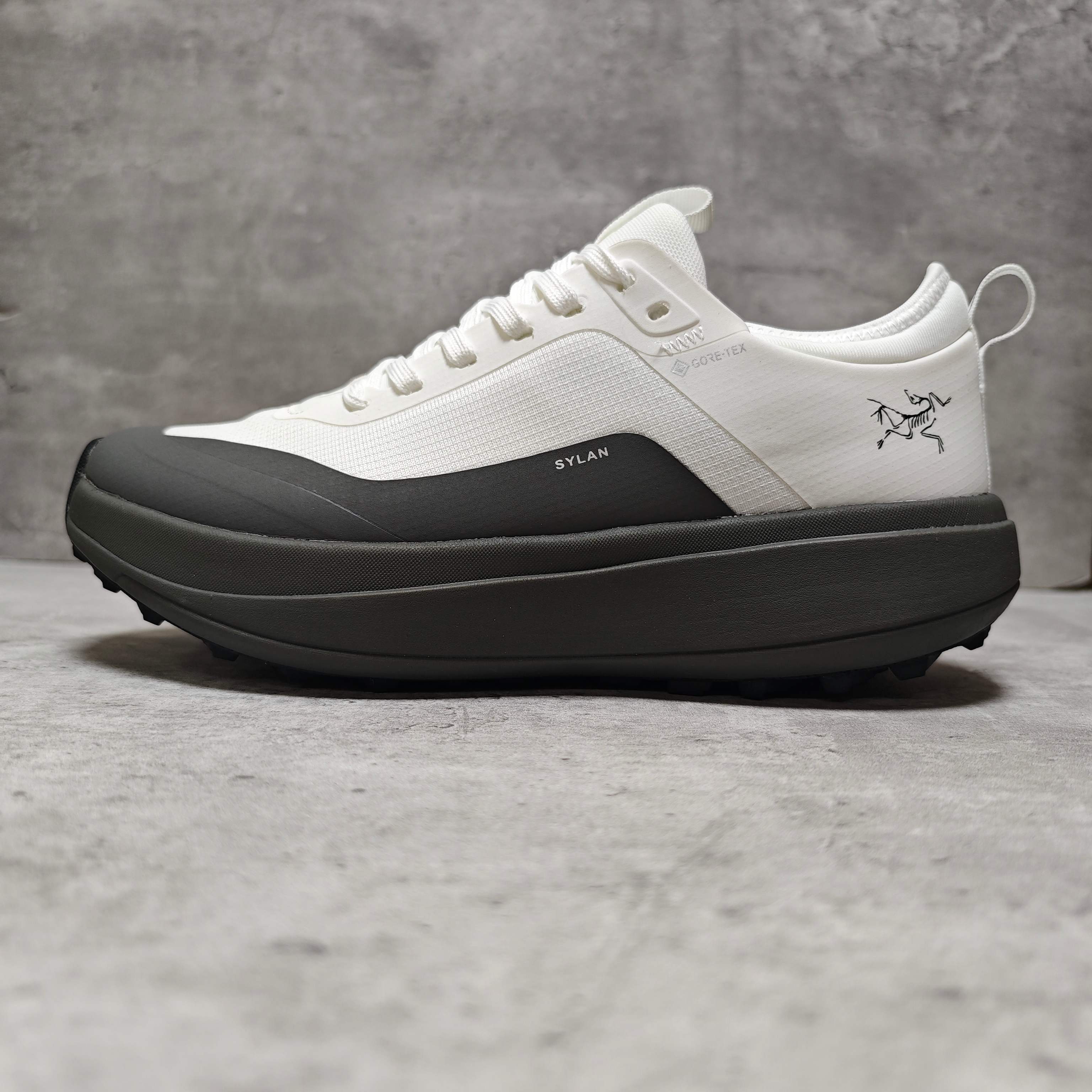 Arcteryx Male Basic Shoes Gray M-l-s