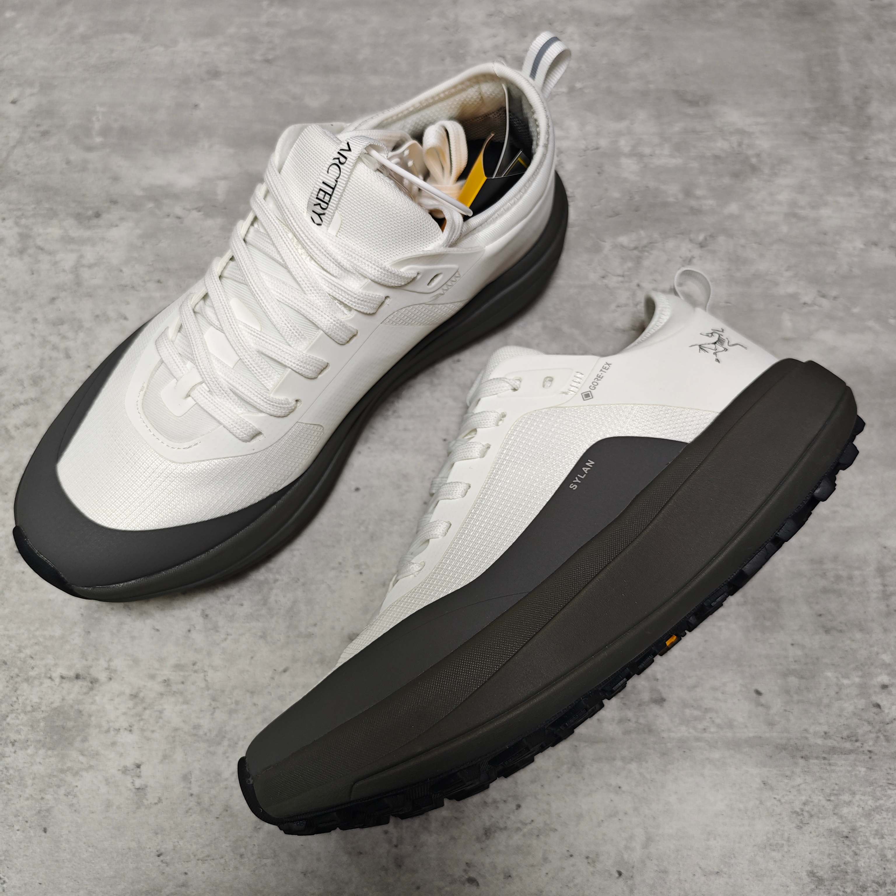 Arcteryx Male Basic Shoes Gray M-l-s