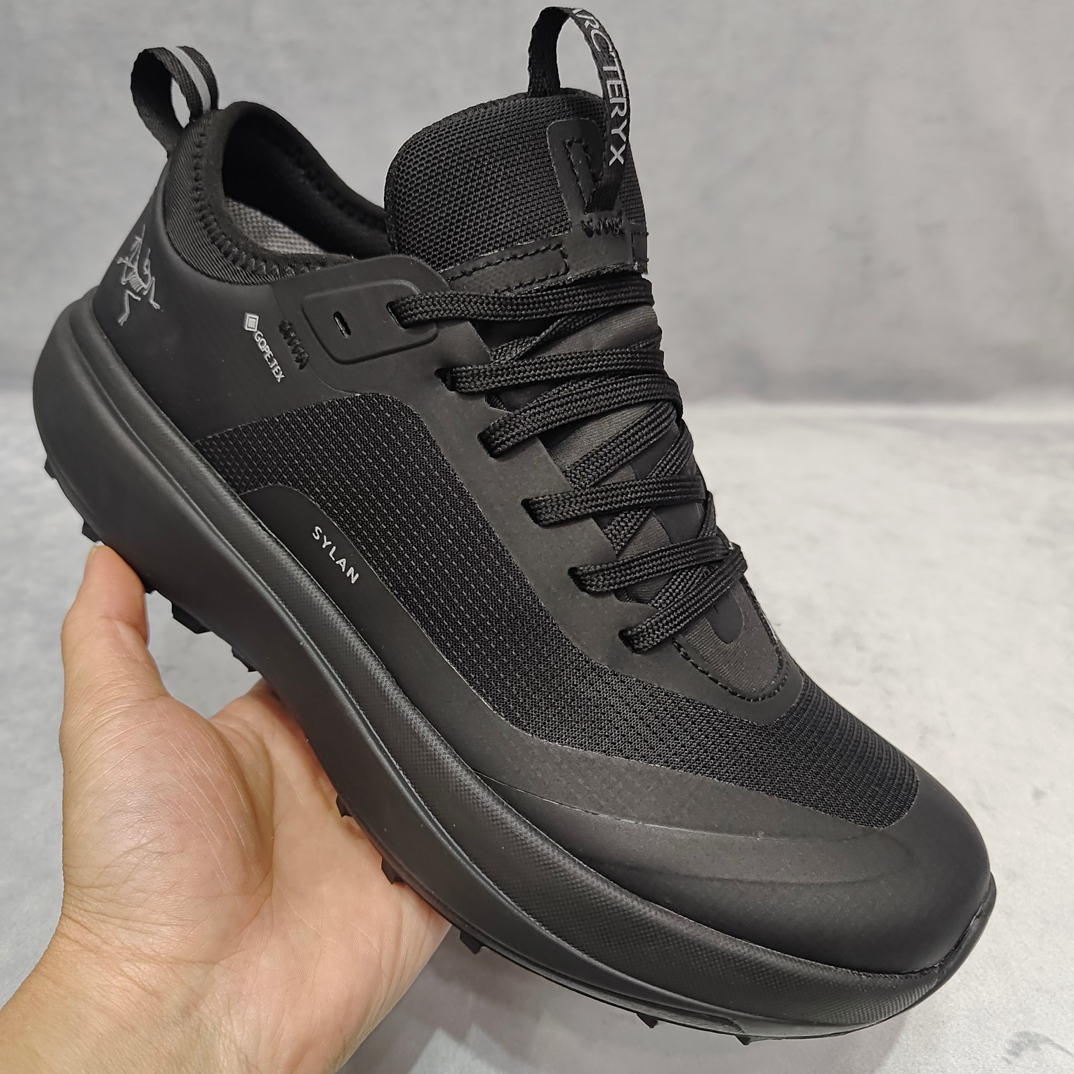 Arcteryx Male Basic Shoes M-l-s