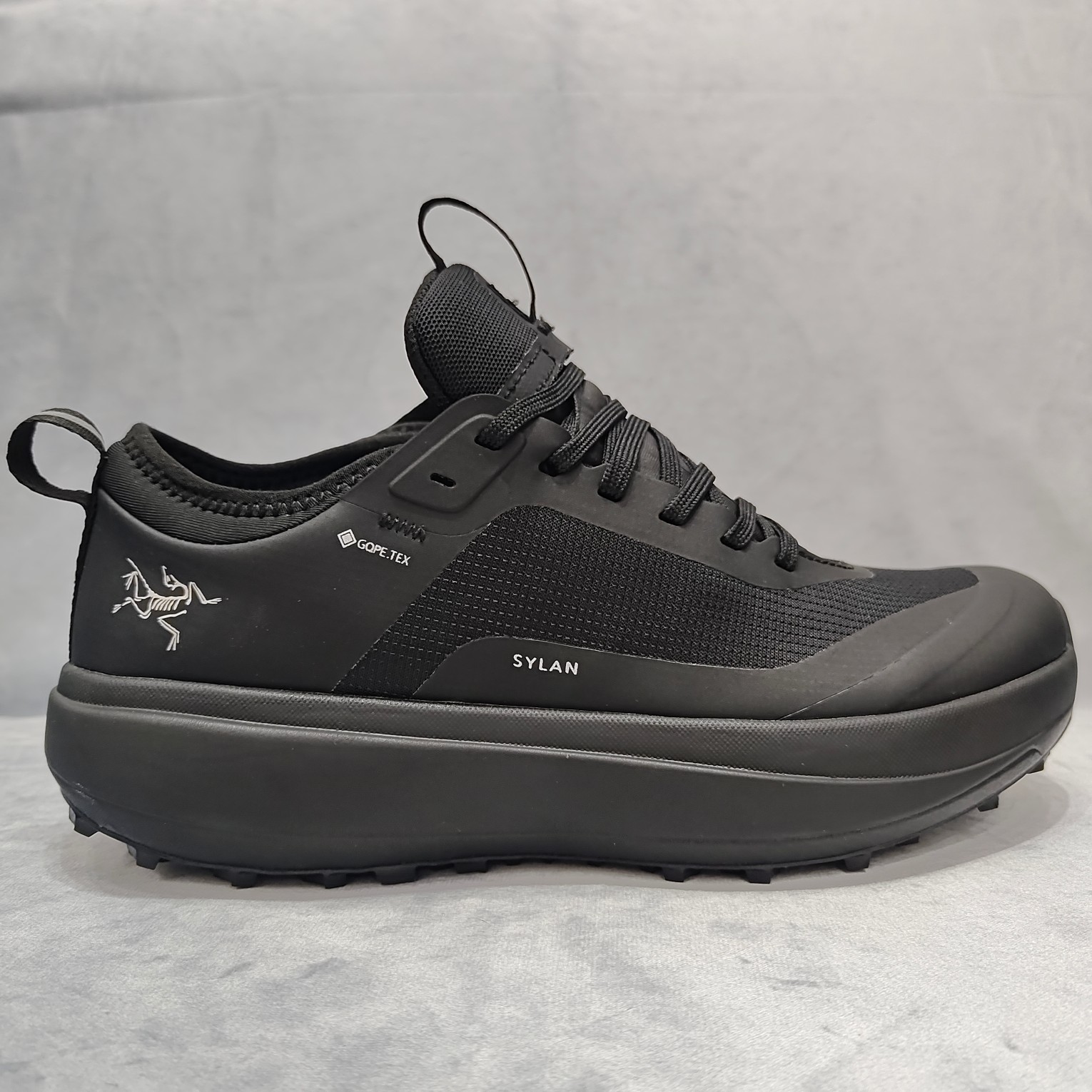 Arcteryx Male Basic Shoes M-l-s