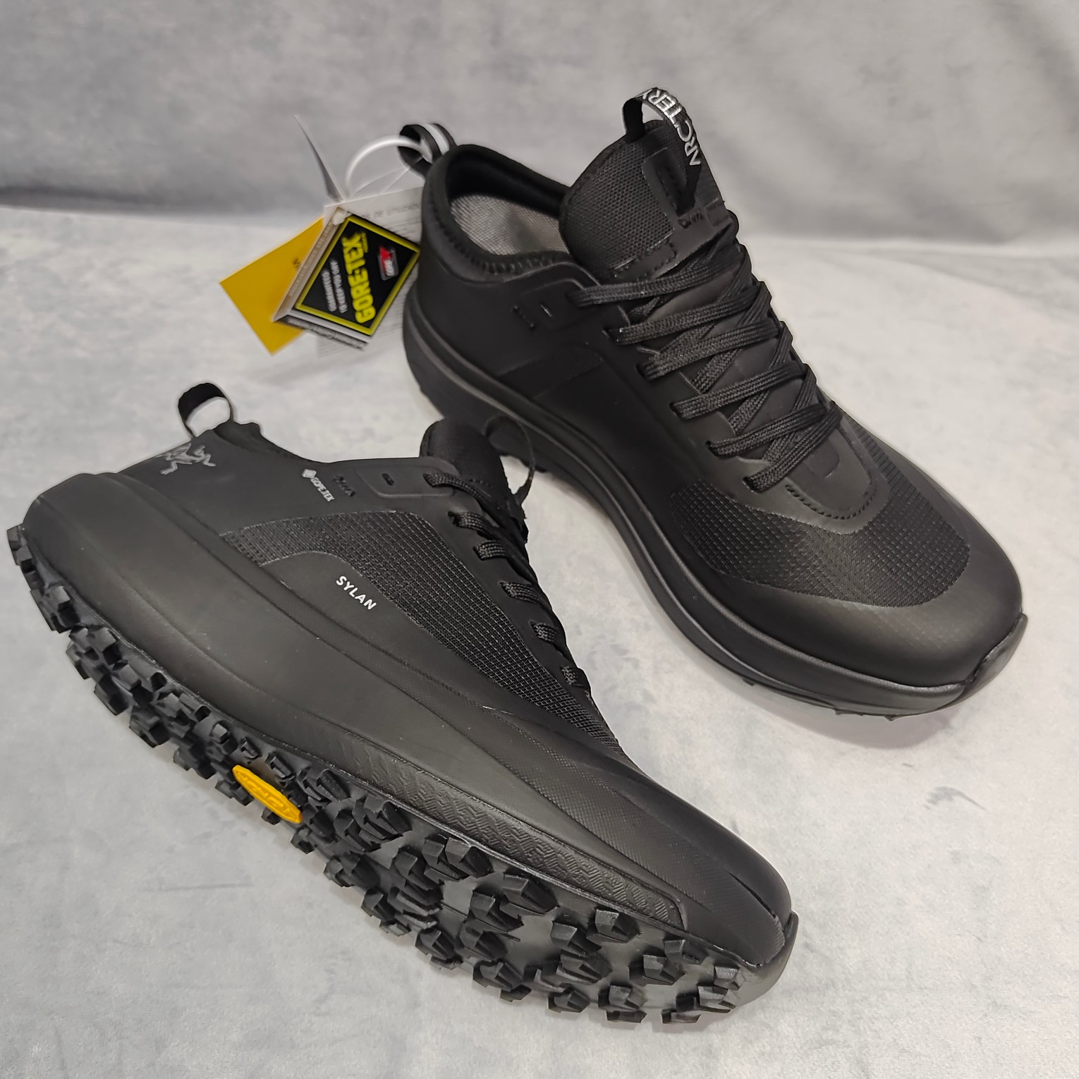 Arcteryx Male Basic Shoes M-l-s