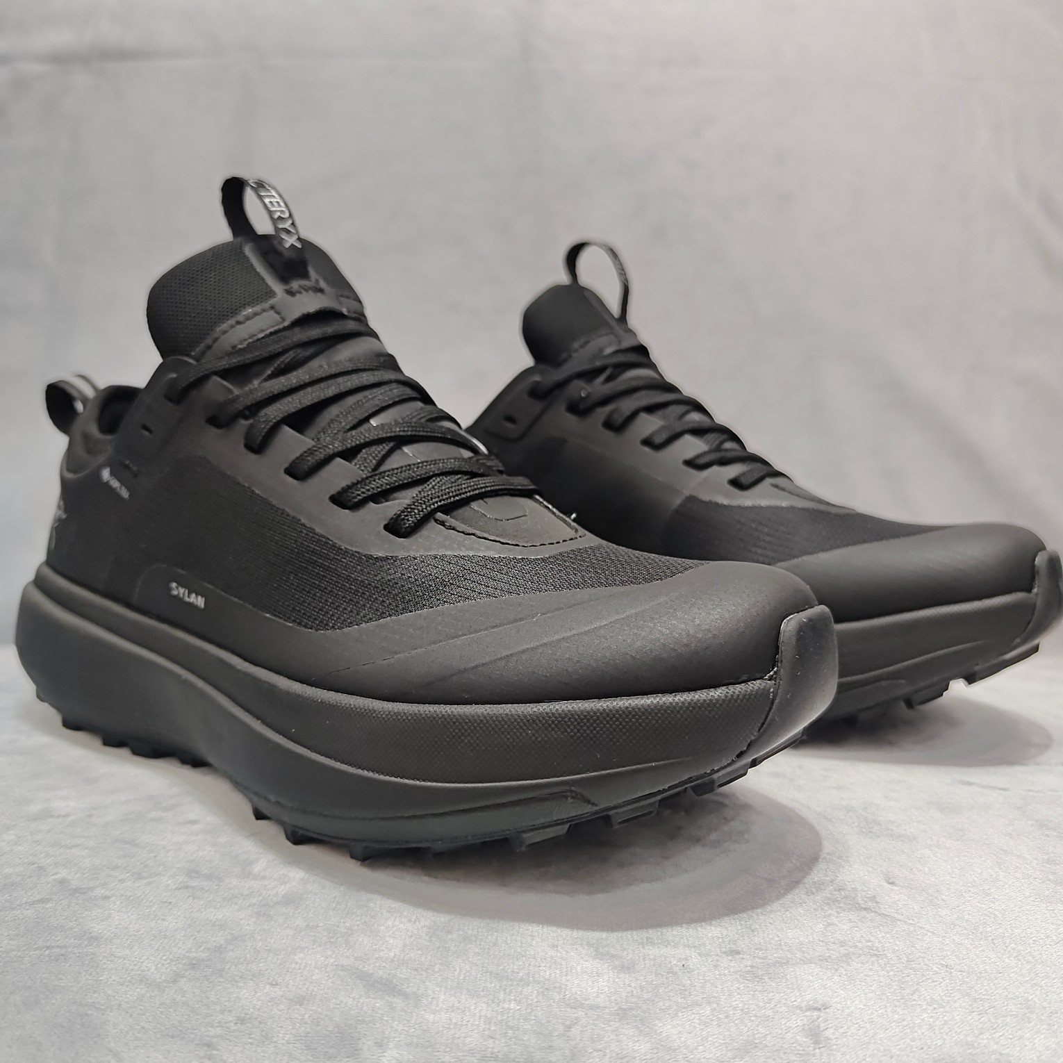 Arcteryx Male Basic Shoes M-l-s