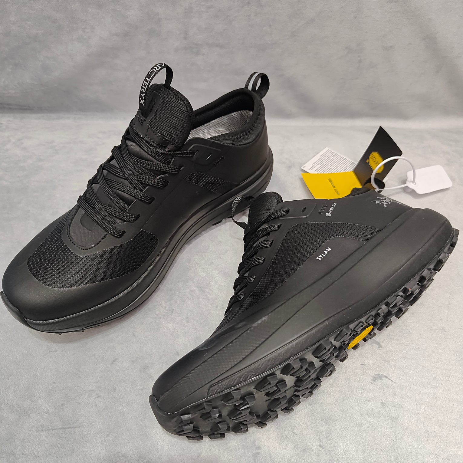 Arcteryx Male Basic Shoes M-l-s