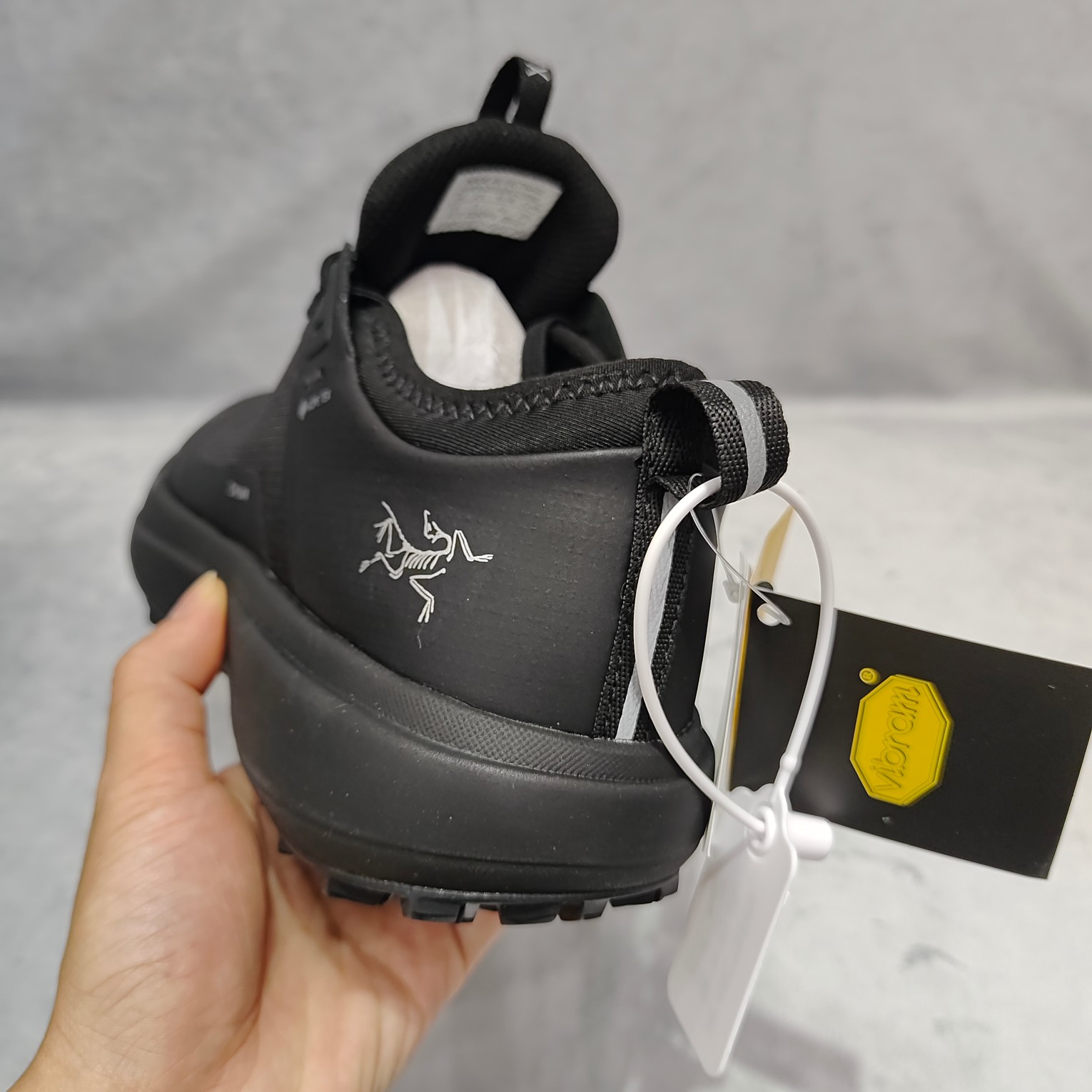 Arcteryx Male Basic Shoes M-l-s