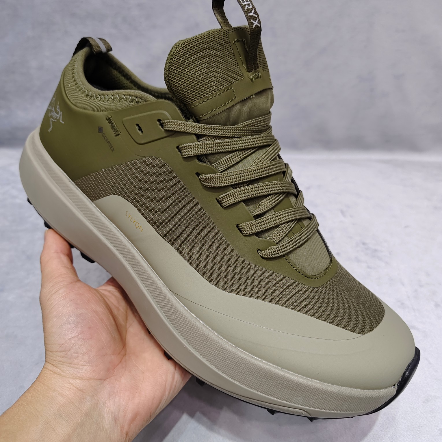 Arcteryx Male Basic Shoes M-l-s