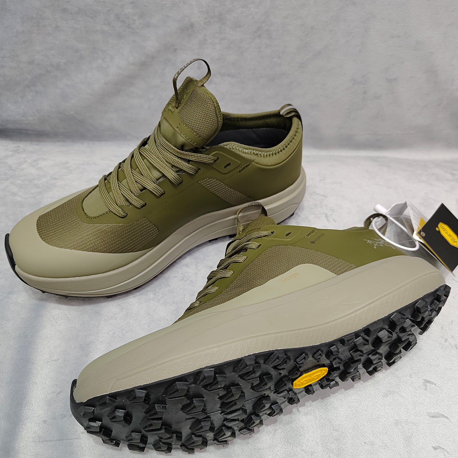 Arcteryx Male Basic Shoes M-l-s