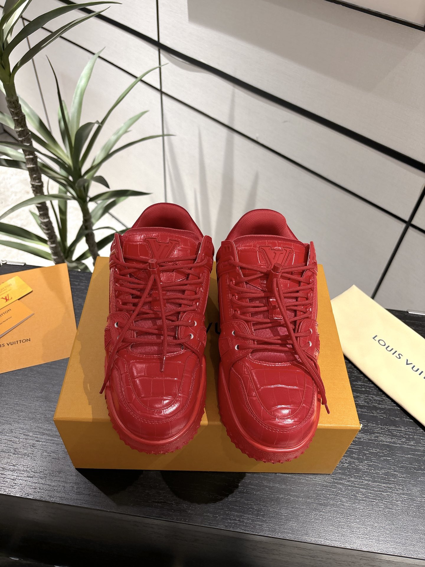 Louis Vuitton Male Basic Shoes L