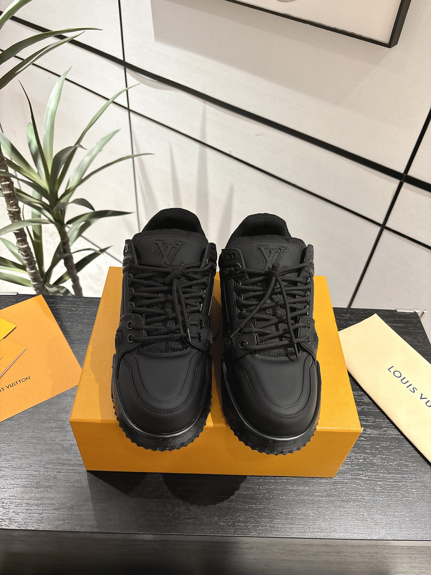 Louis Vuitton Male Basic Shoes L