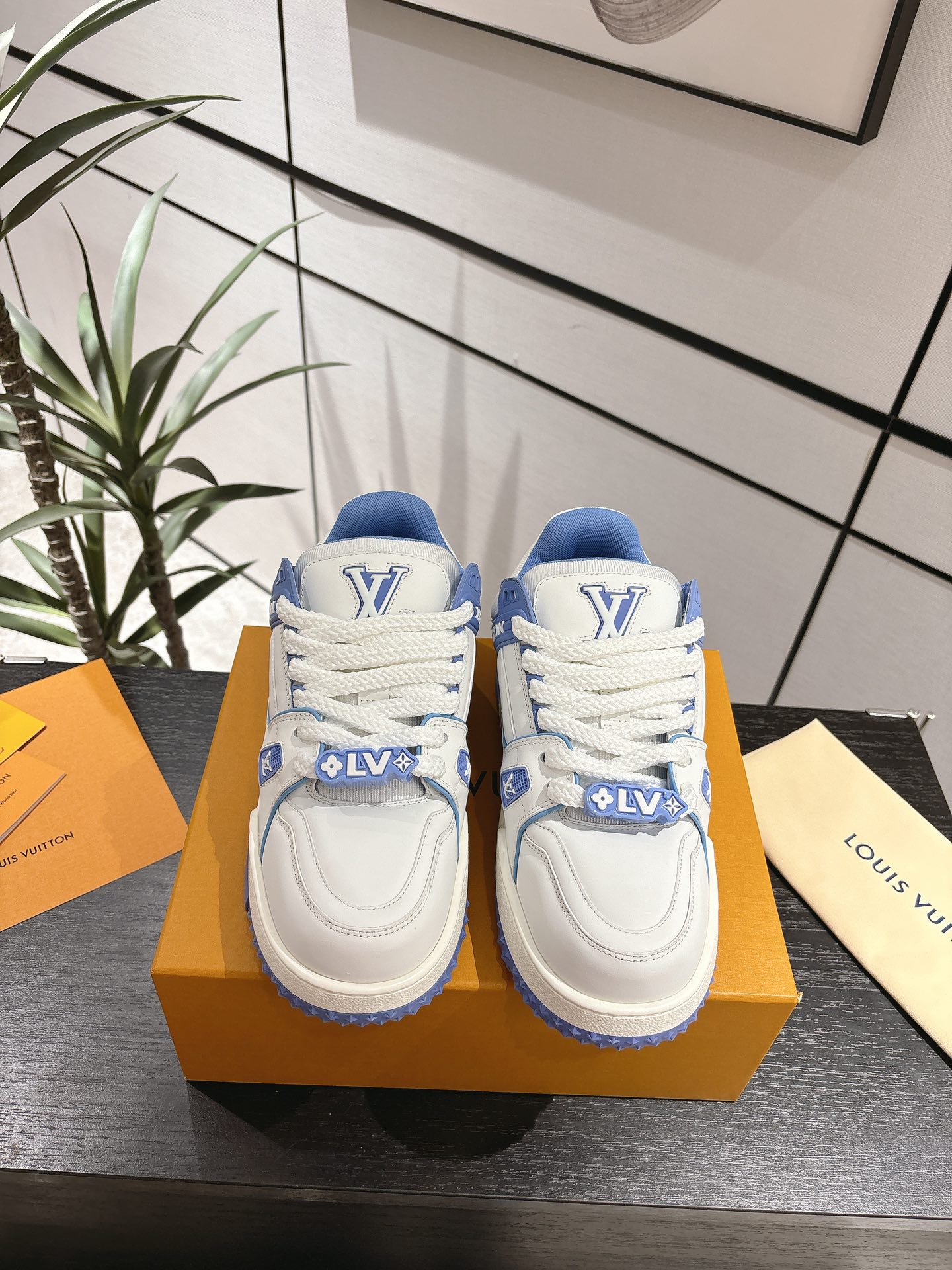 Louis Vuitton Male Basic Shoes L