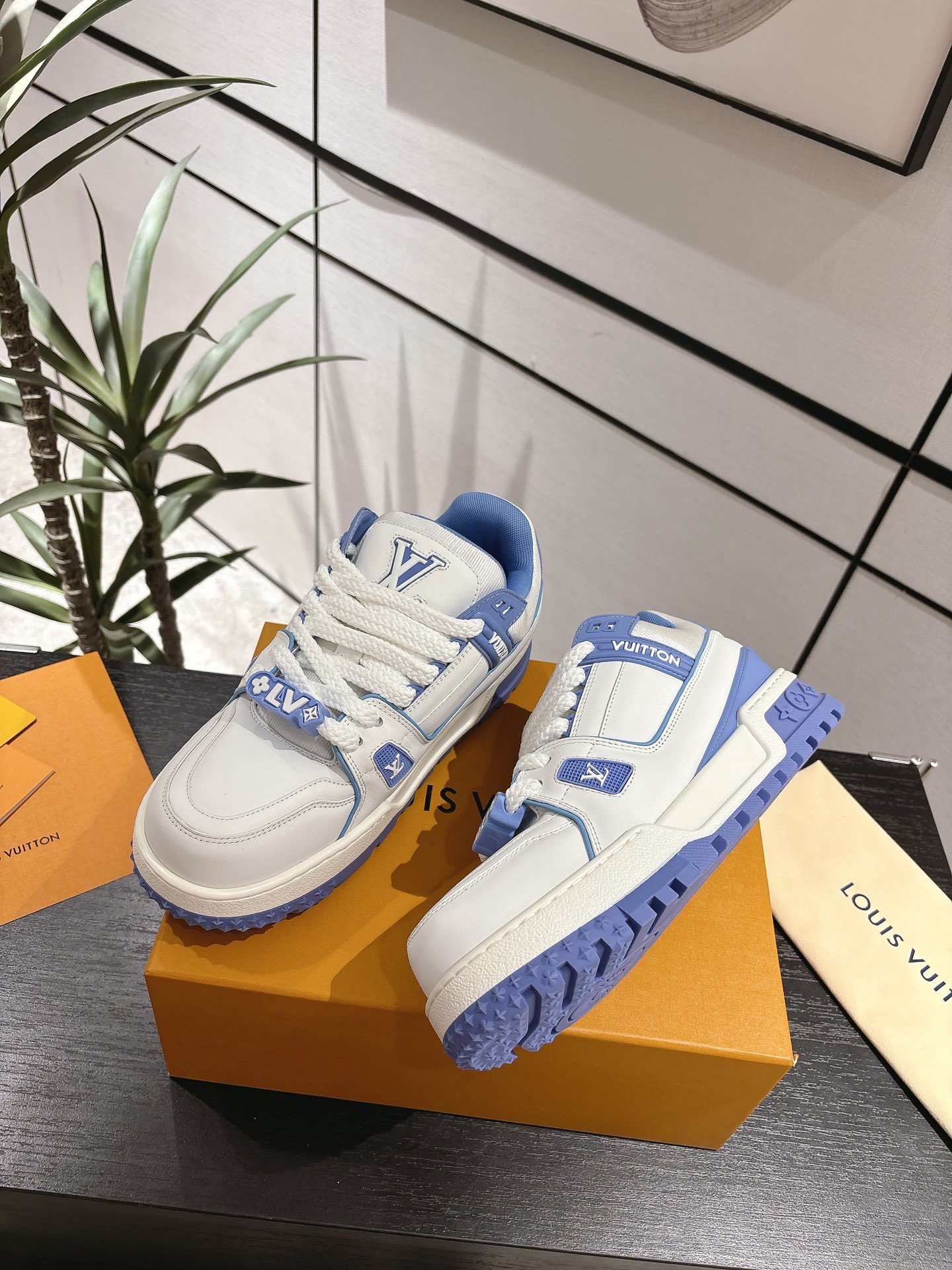 Louis Vuitton Male Basic Shoes L