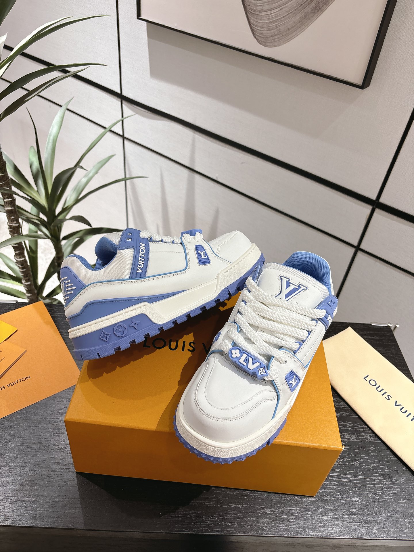 Louis Vuitton Male Basic Shoes L