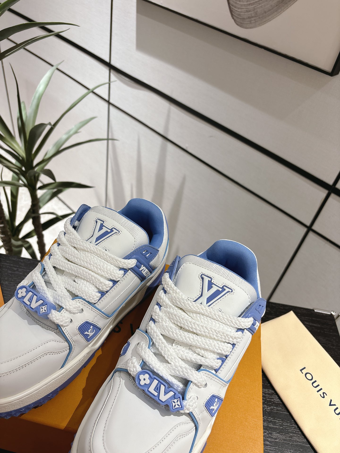 Louis Vuitton Male Basic Shoes L